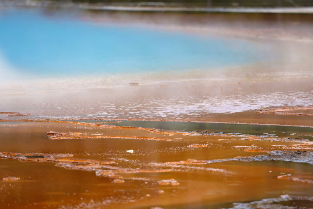Main image Yellowstone