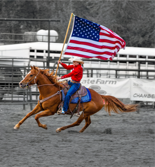 Main image America 250 Flag Rider 14