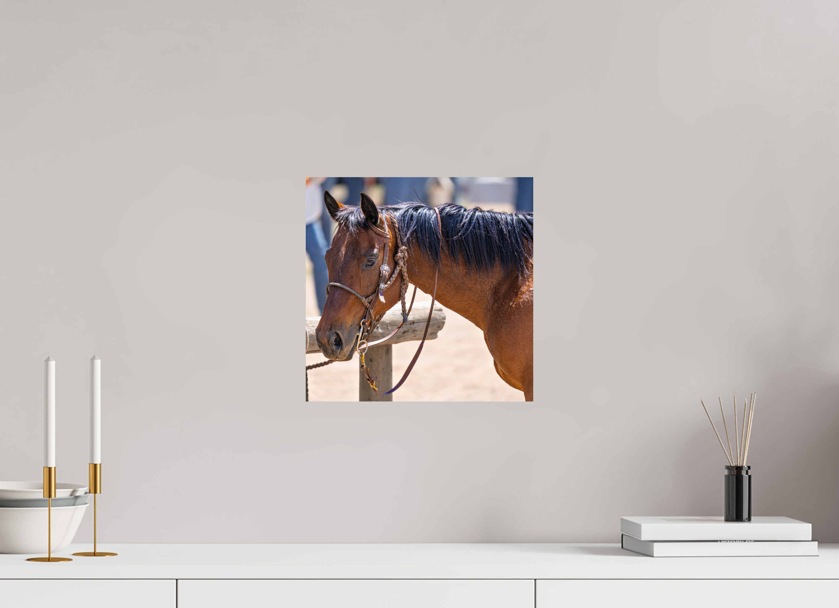 12.2 x 12″, PHOTO PAPER Pack Horse Portrait 15 Web Exclusive