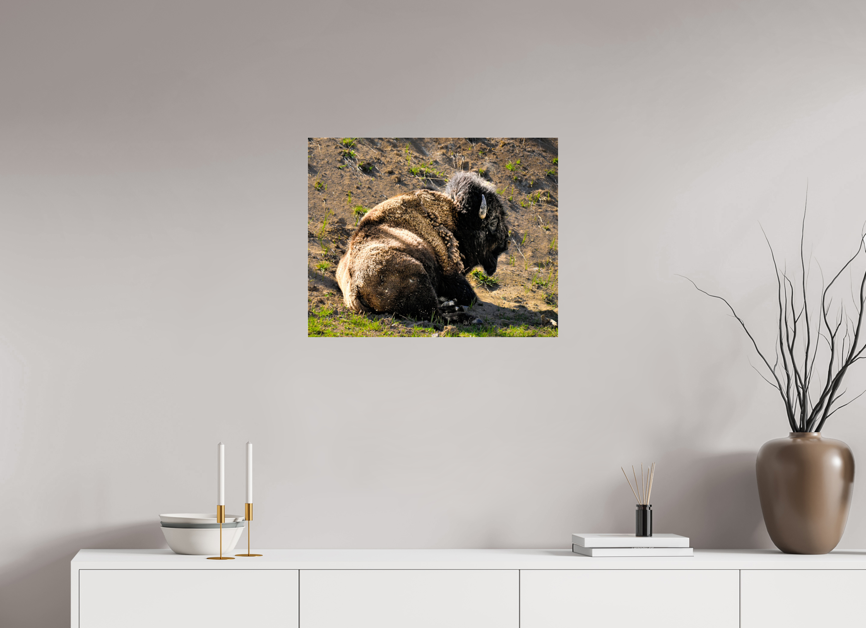 25.1 x 20″, ACRYLIC Bison Laying Down