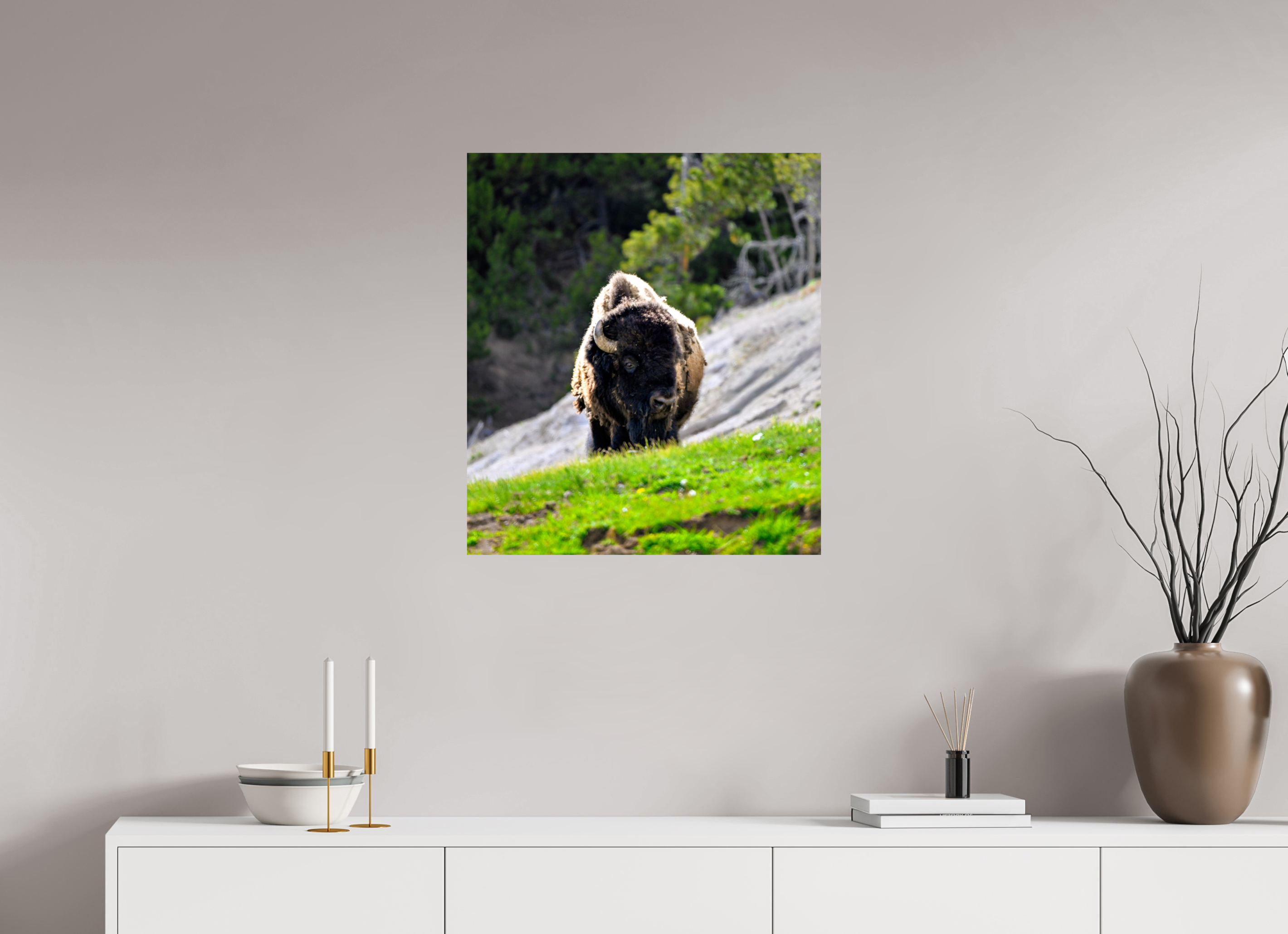 24 x 27.3″, PHOTO PAPER Bison Portrait