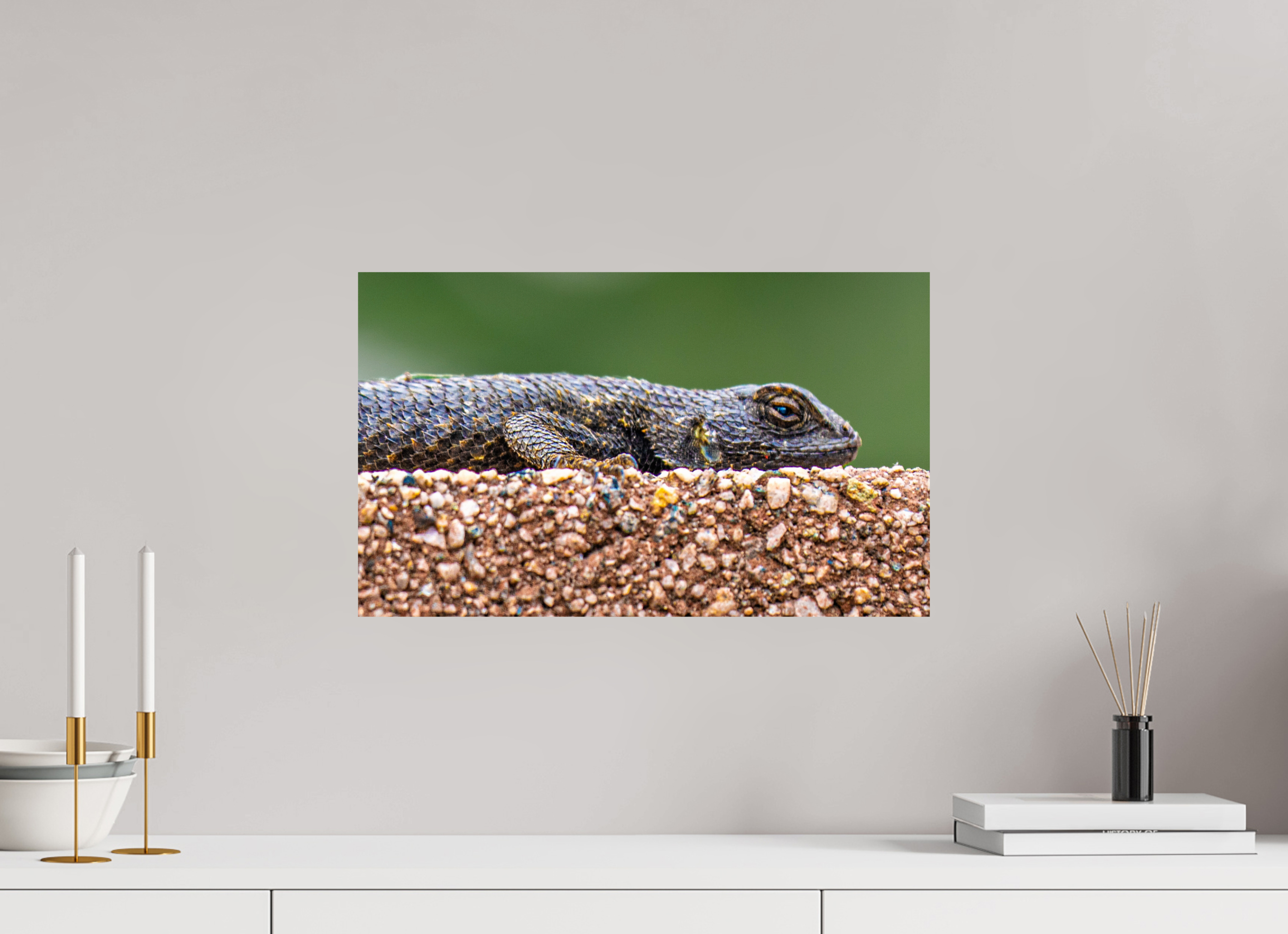 19.9 x 12″, PHOTO PAPER Lizard