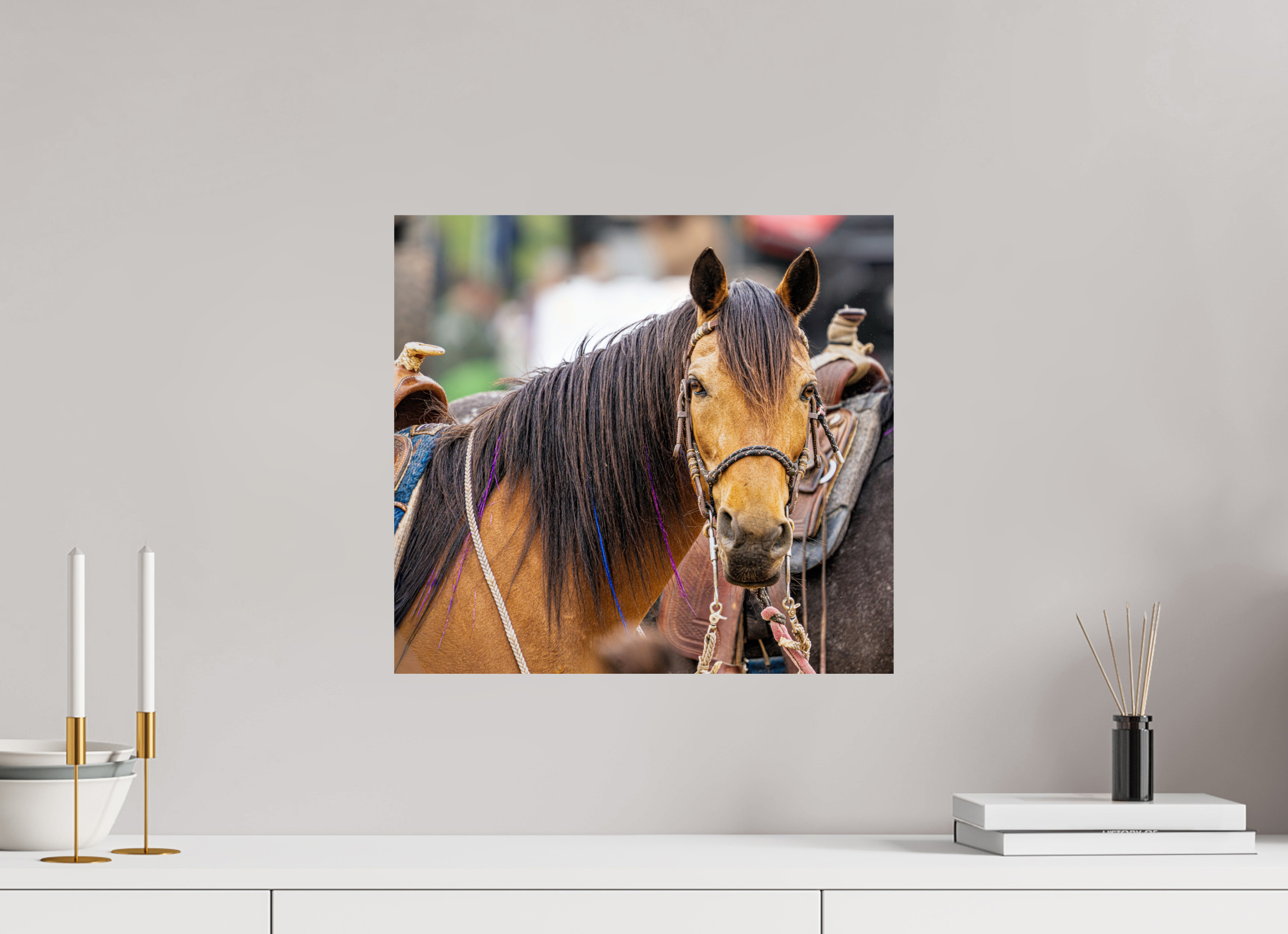 17.4 x 16″, PHOTO PAPER Pack Horse Portrait 11 Web Exclusive