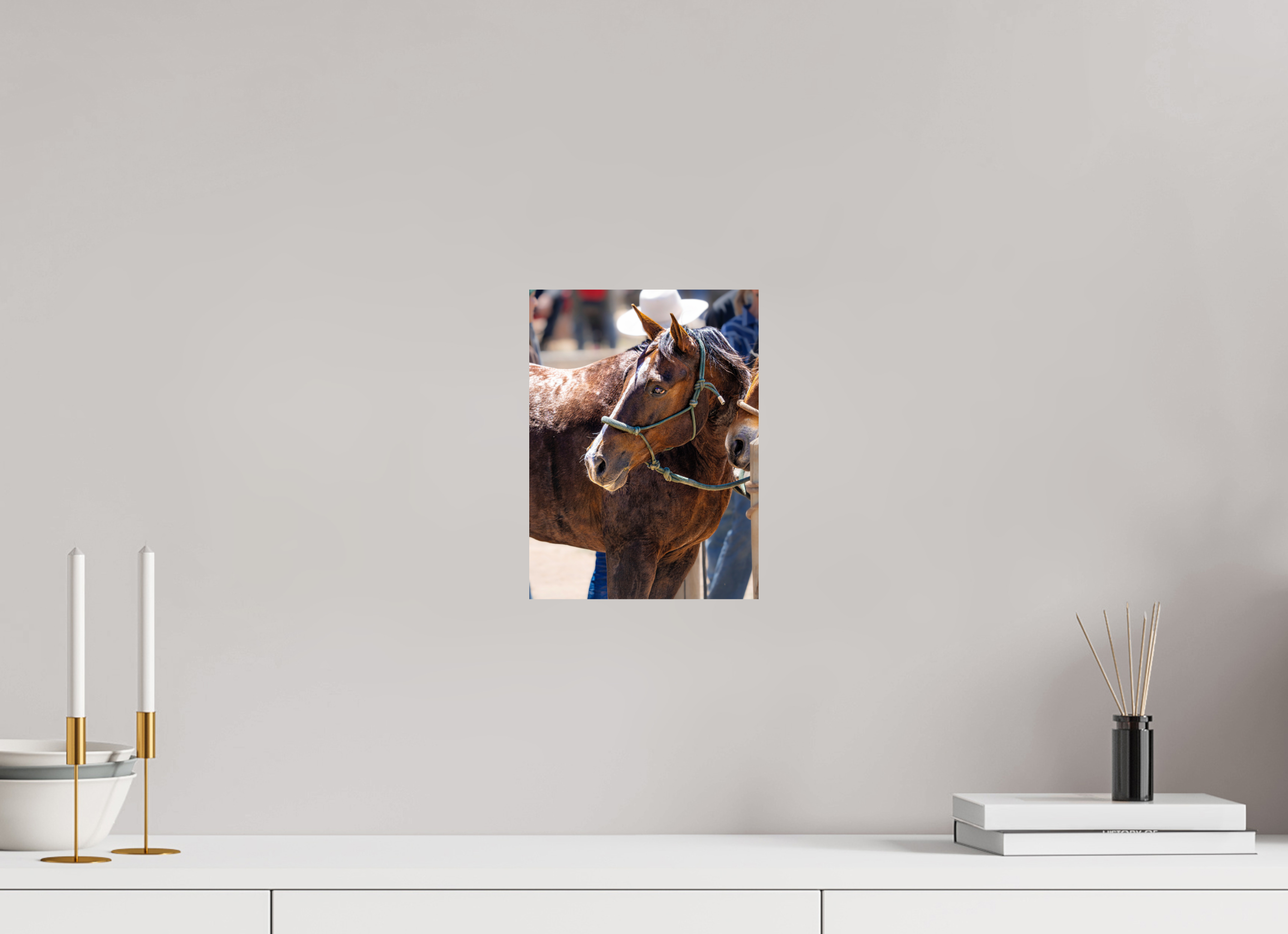 8 x 10.8″, PHOTO PAPER Pack Horse Portrait 4