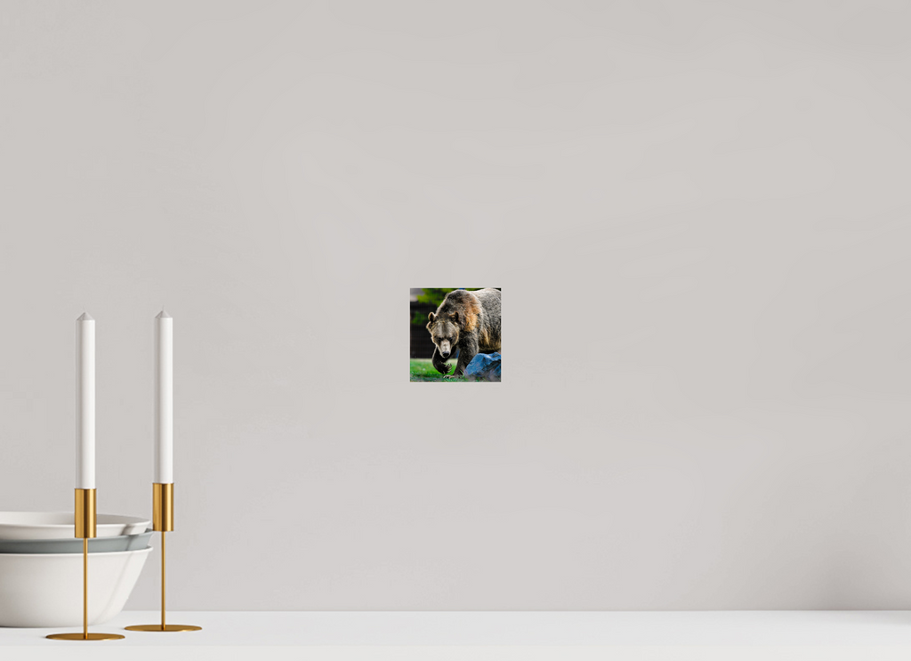 4 x 4.1″, PHOTO PAPER Bear