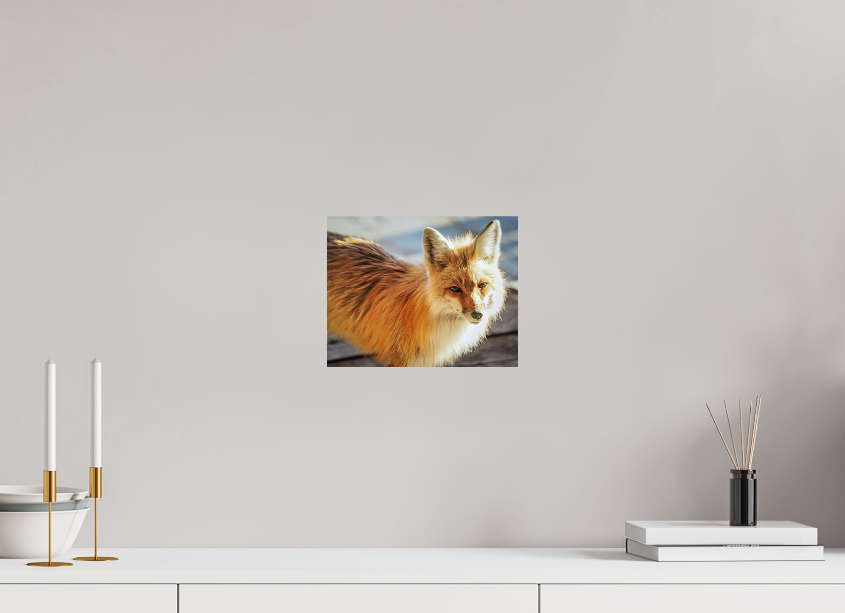 10.2 x 8″, PHOTO PAPER Fox