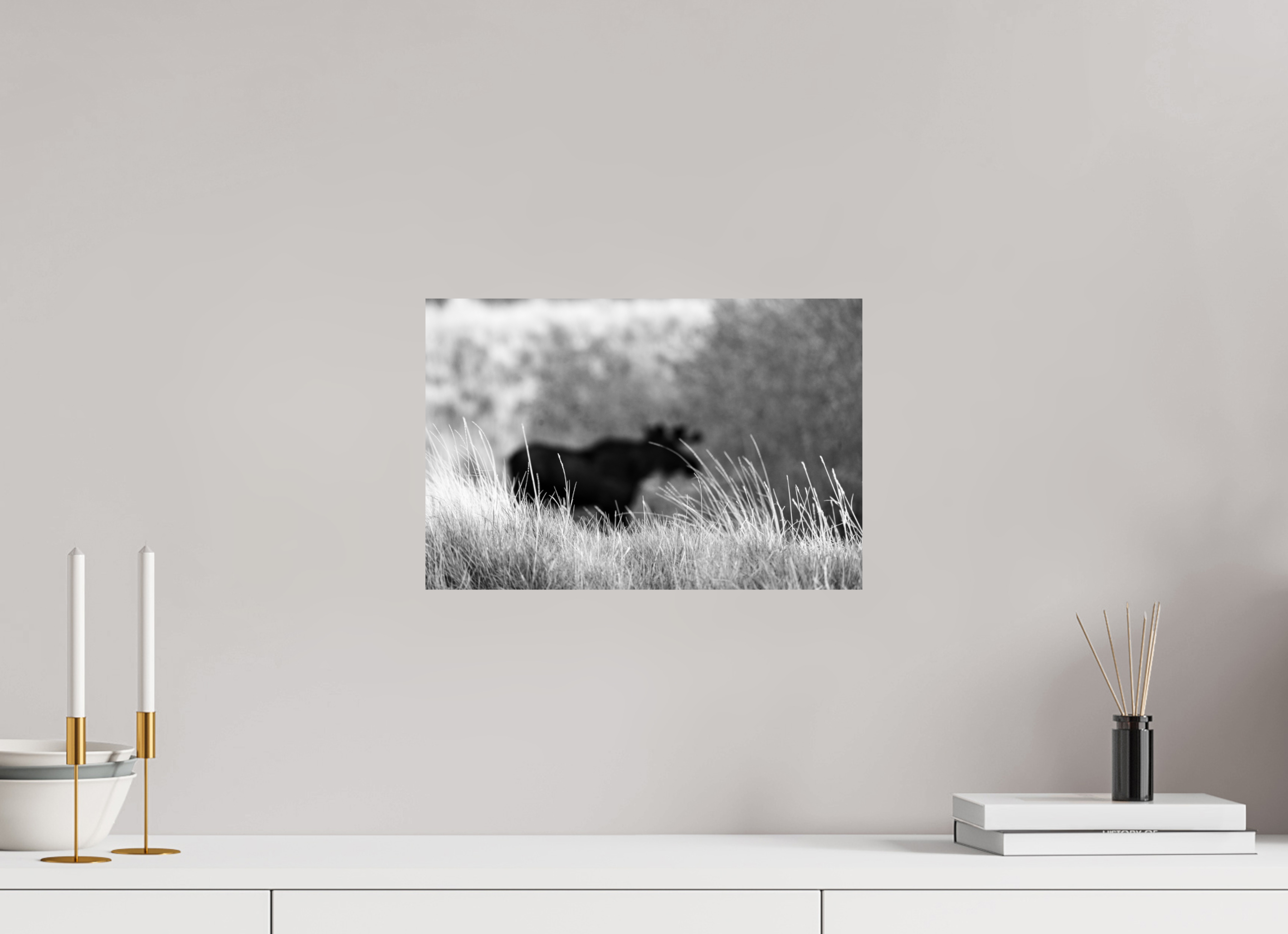 15 x 10″, METAL Monochrome Bull Moose