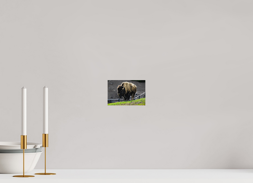 6 x 4″, PHOTO PAPER Bison