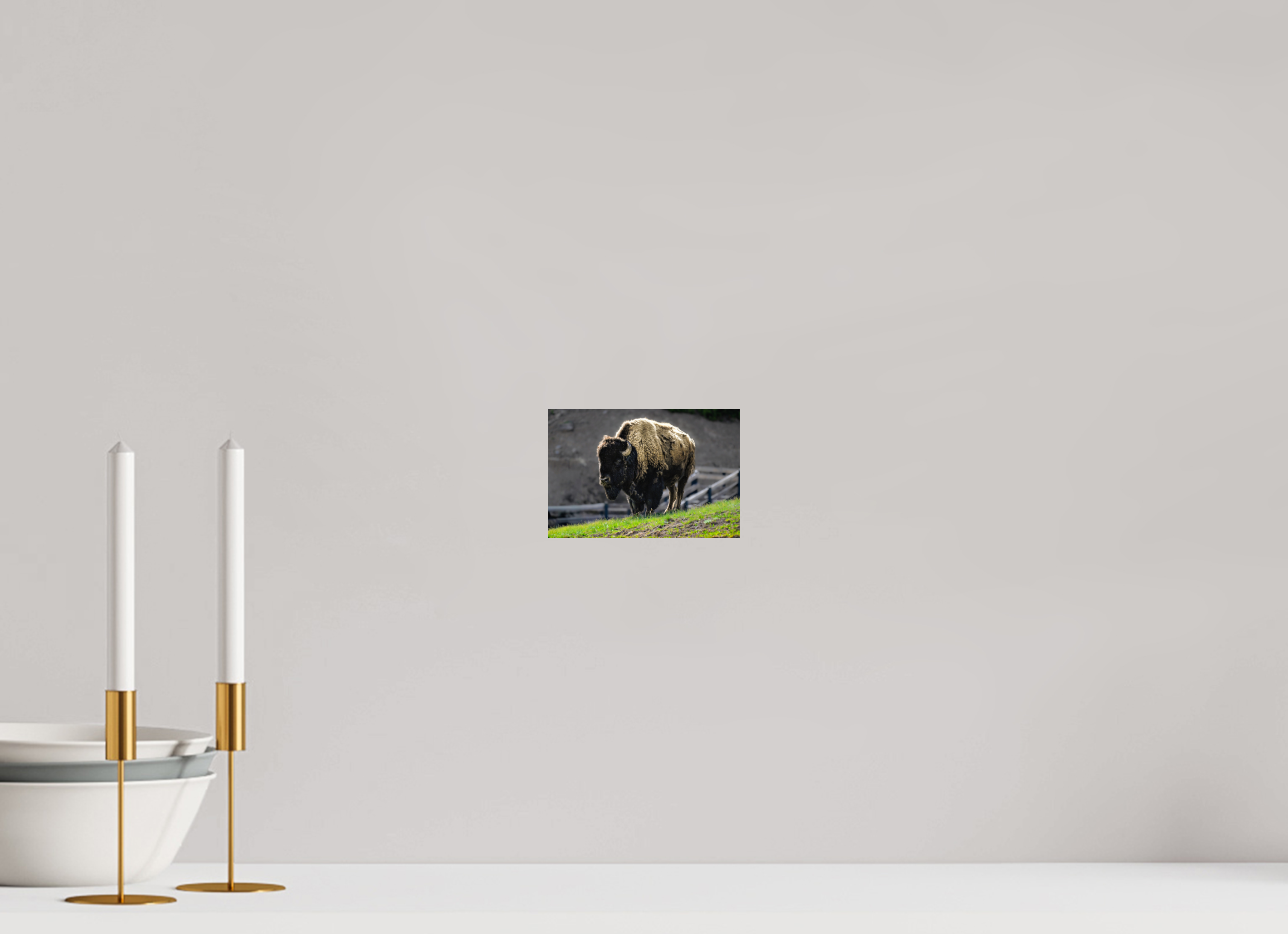 6 x 4″, PHOTO PAPER Bison