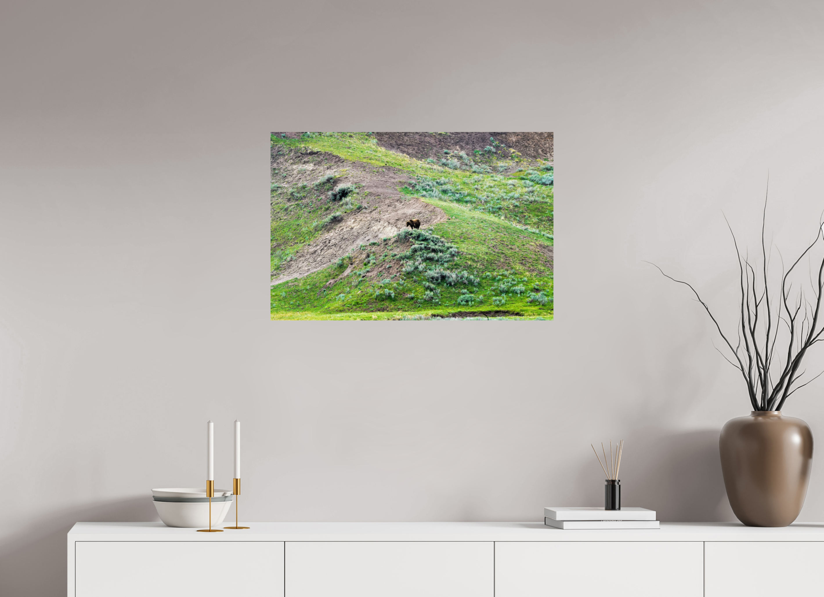 30 x 20″, PHOTO PAPER Bear