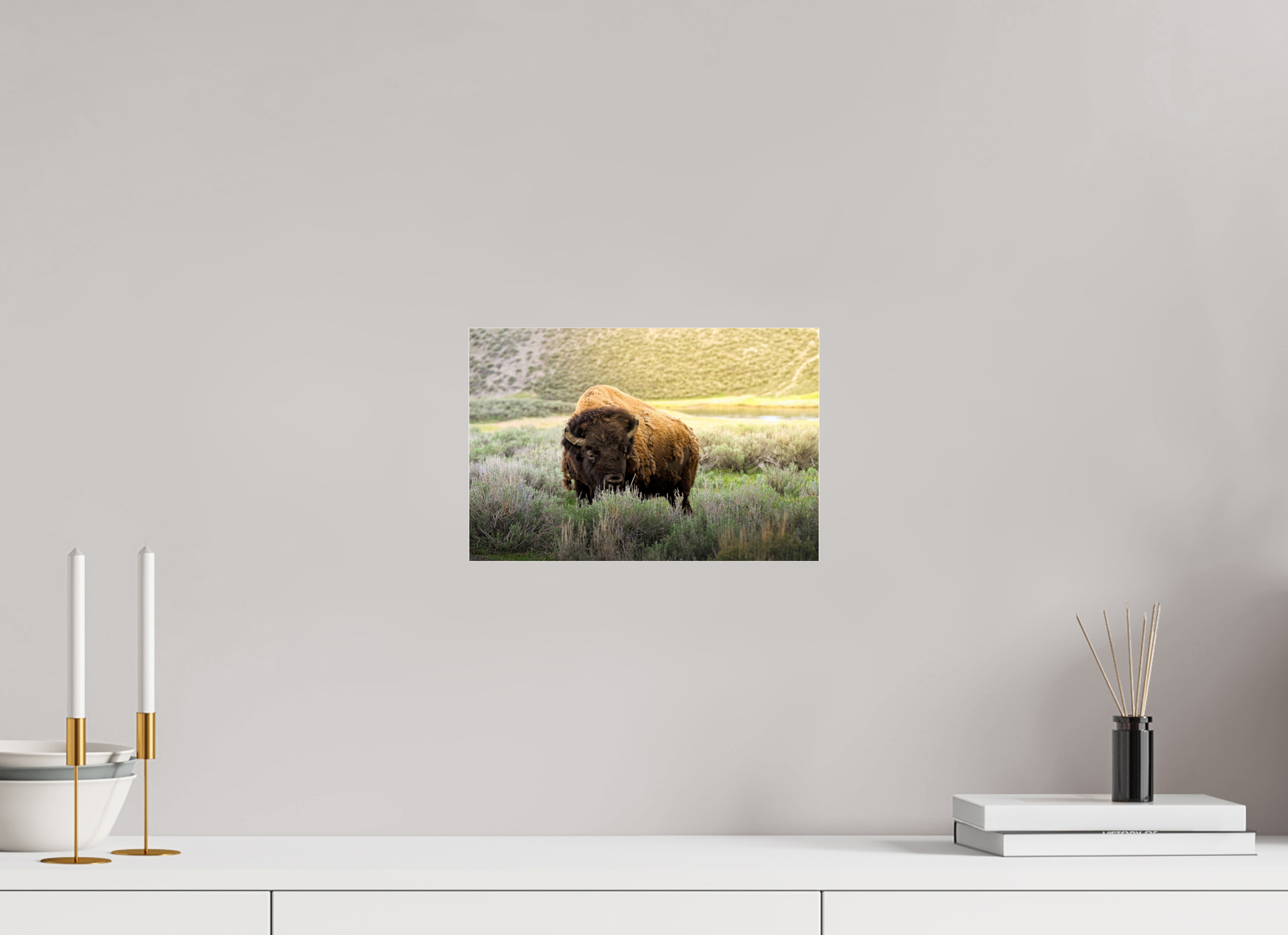 12 x 8″, ACRYLIC Bison in the Sunlight