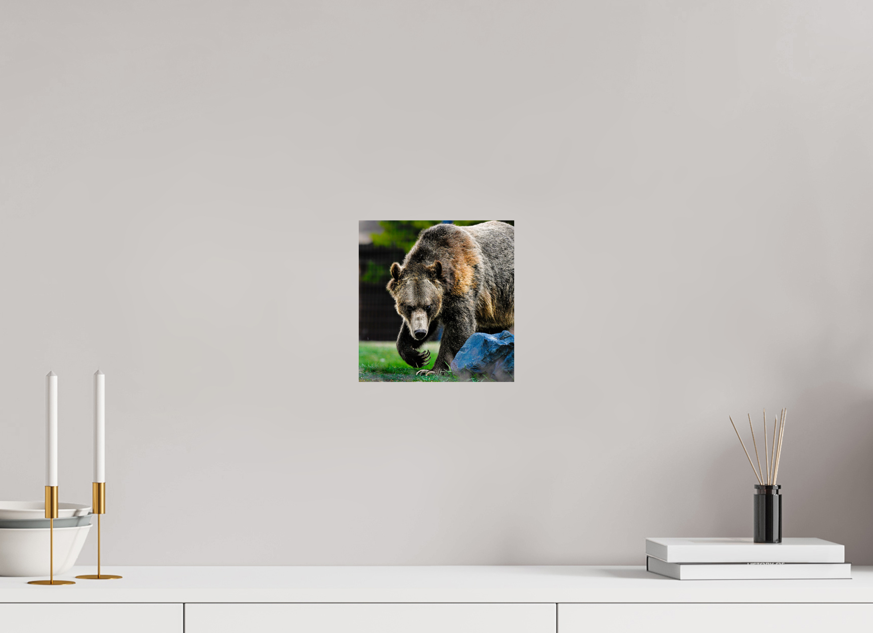 8 x 8.3″, PHOTO PAPER Bear