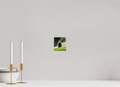 4 x 4.6″, PHOTO PAPER Bison Portrait