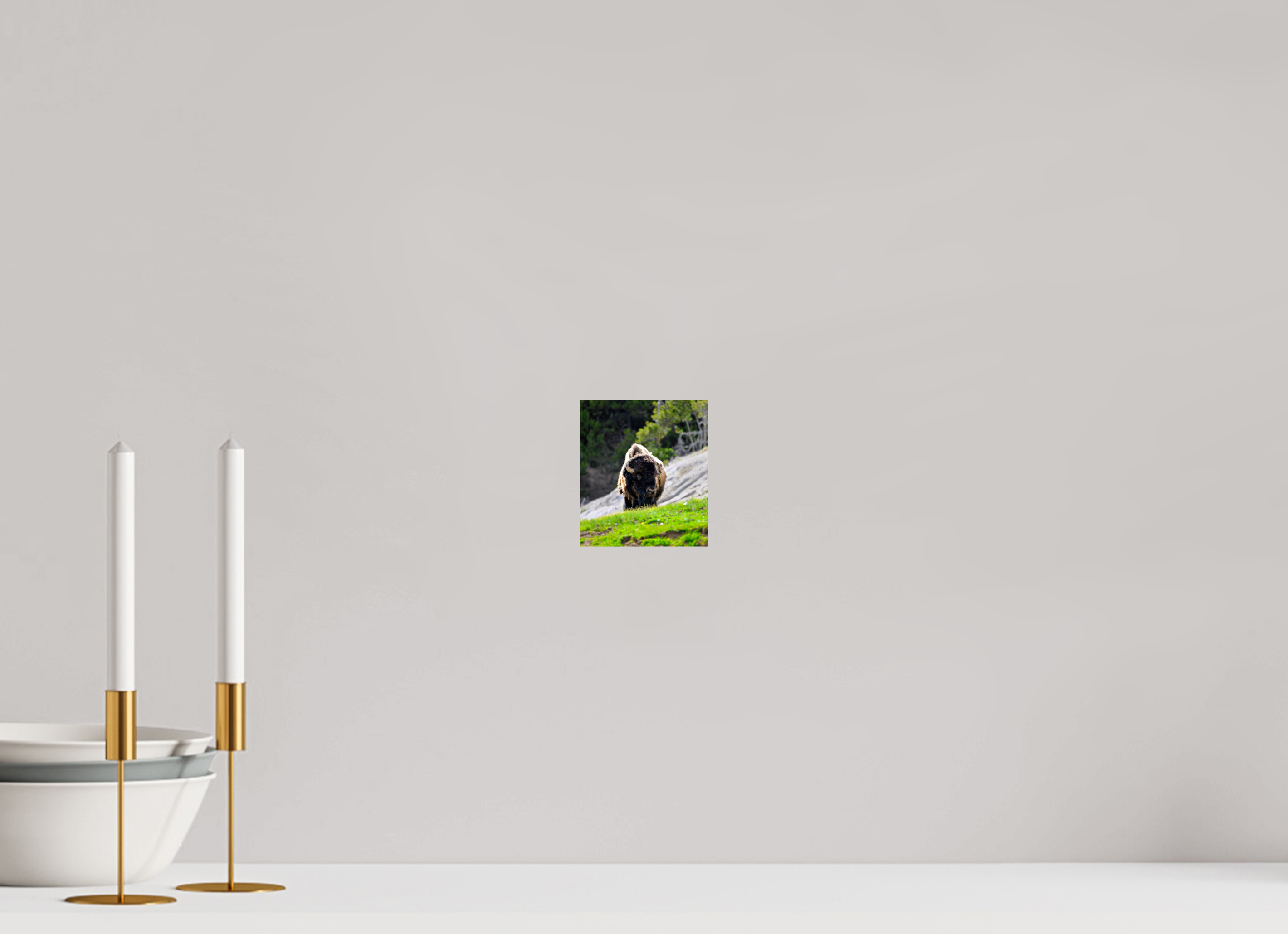 4 x 4.6″, PHOTO PAPER Bison Portrait