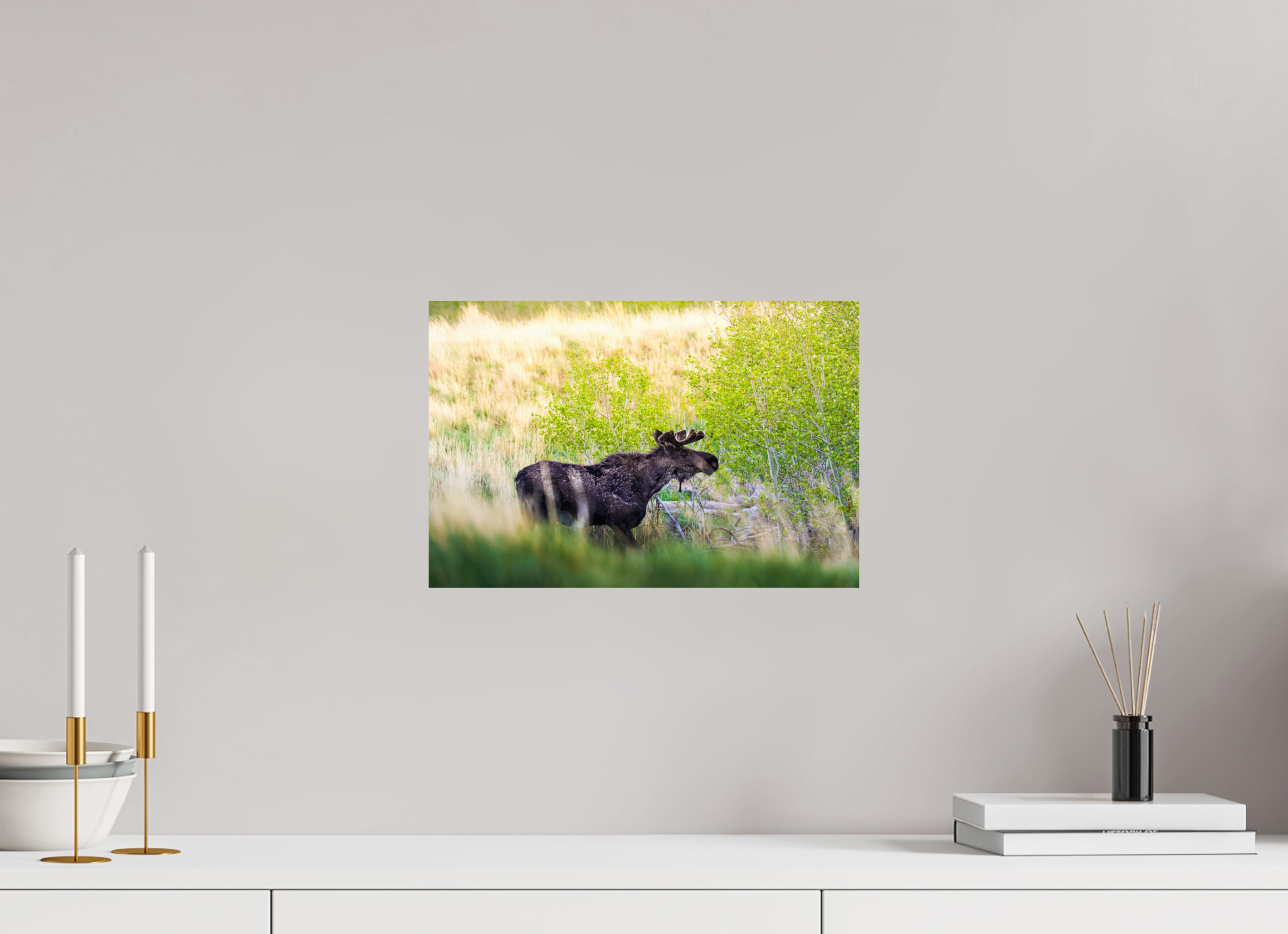 15 x 10″, PHOTO PAPER “Peek A Boo” Moose