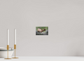5.9 x 4″, PHOTO PAPER Elk