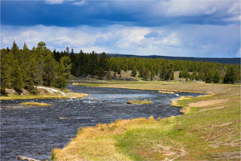 Main image Yellowstone