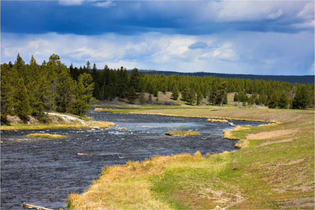 Main image Yellowstone