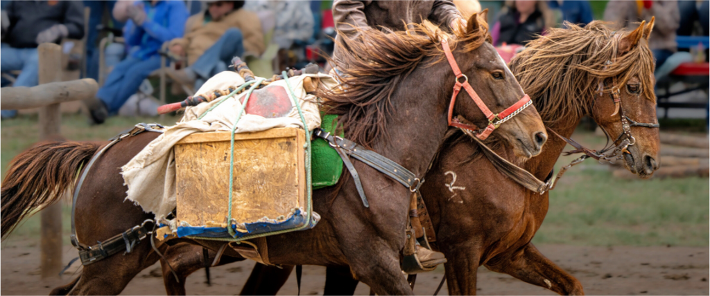 Main image Pack Horses Running