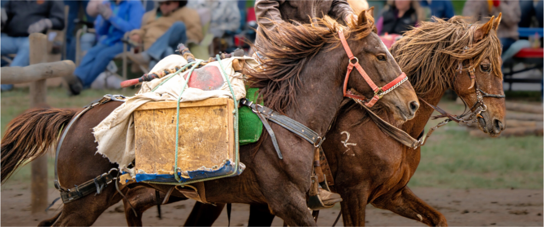 Main image Pack Horses Running