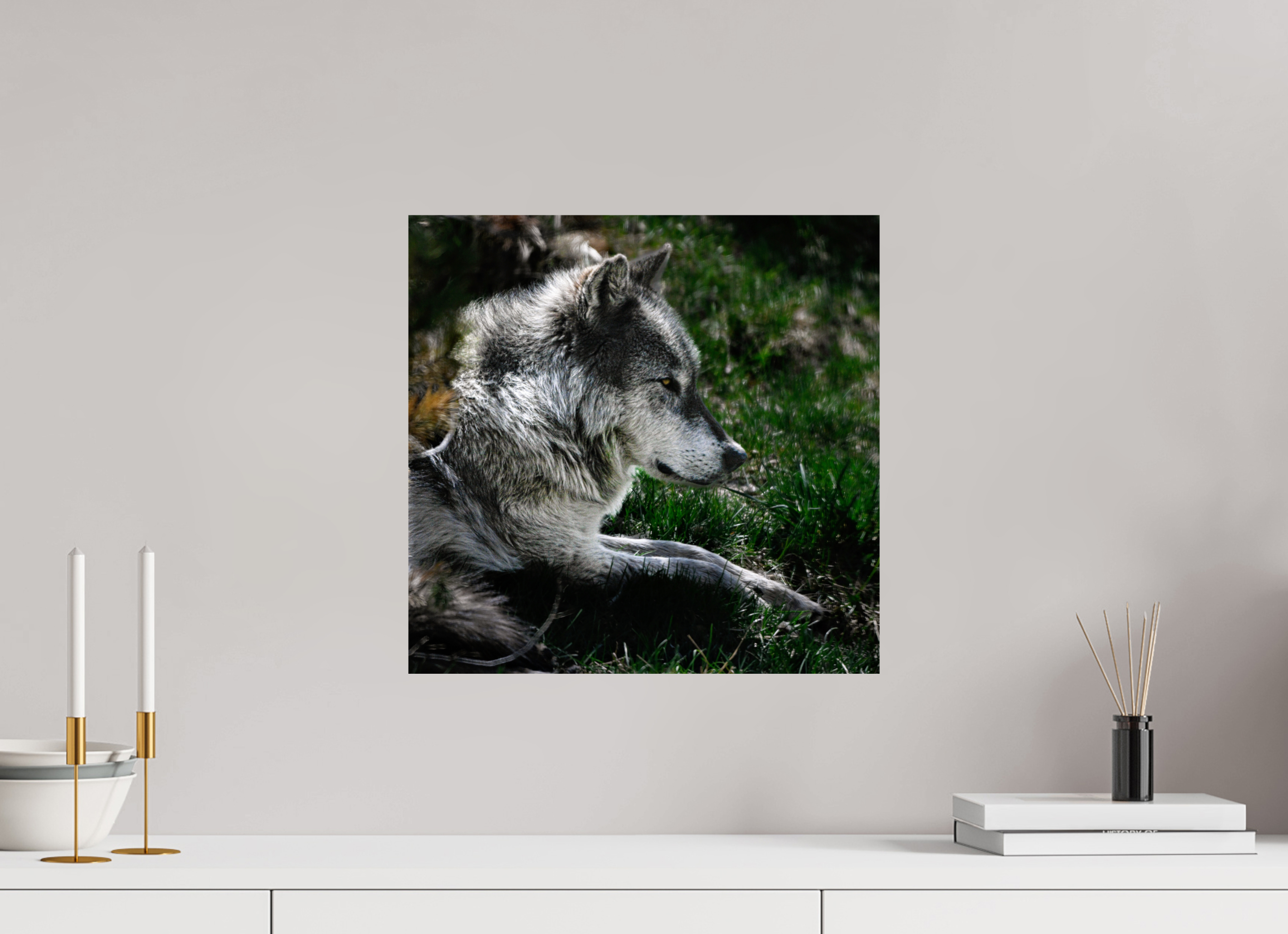 16.4 x 16″, PHOTO PAPER Wolf Side Profile