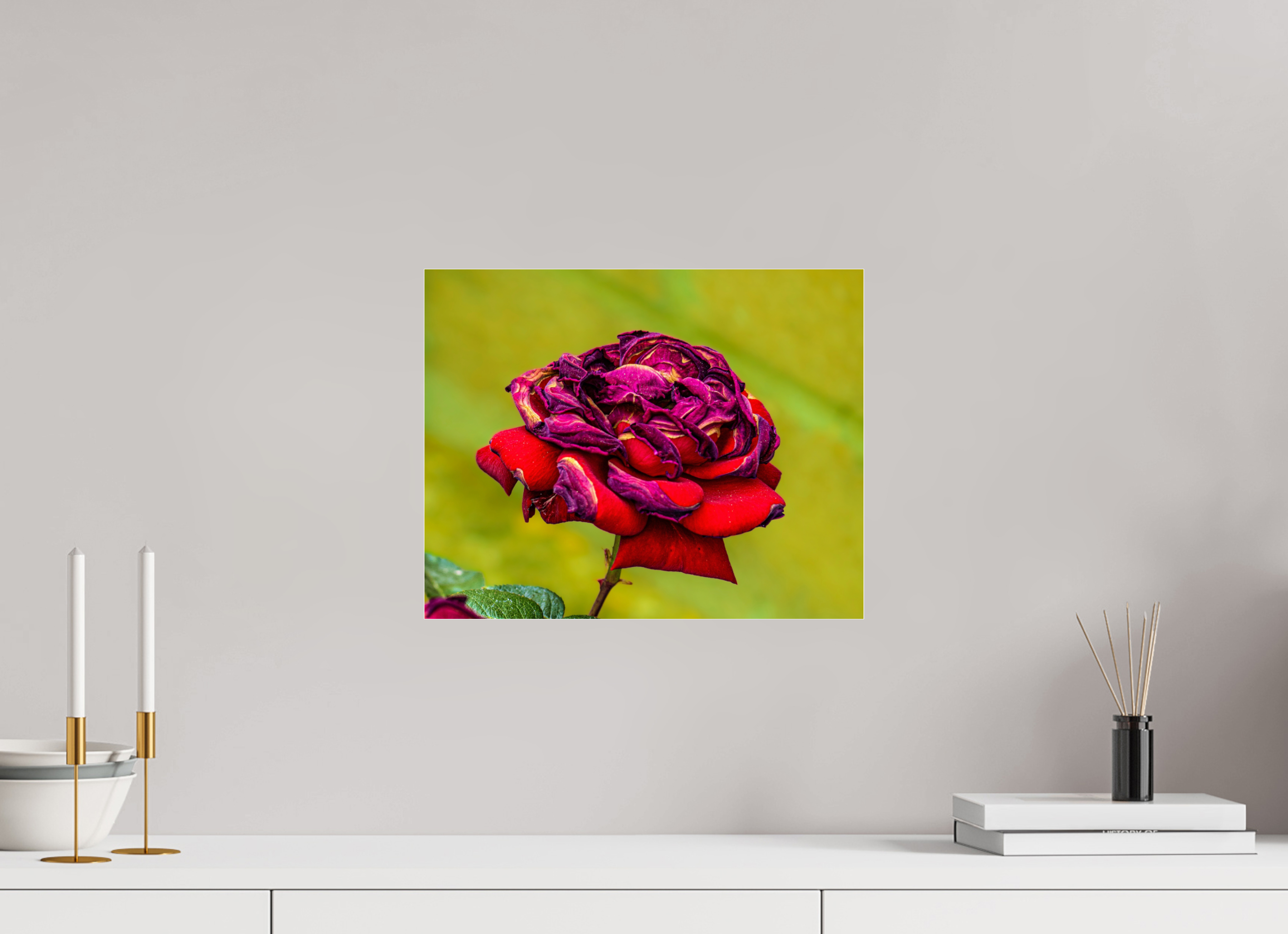 15.1 x 12″, ACRYLIC Red Rose