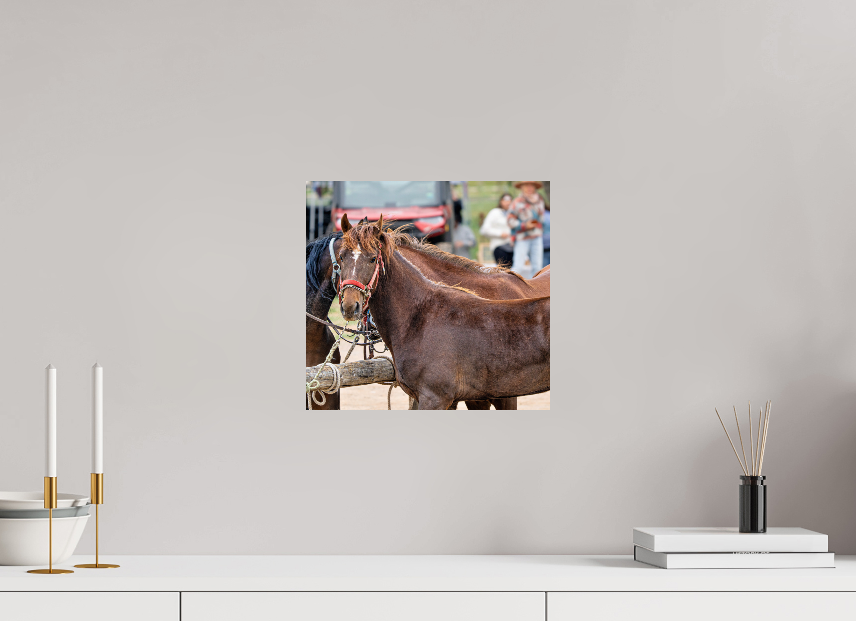 12.8 x 12″, PHOTO PAPER Pack Horse Portrait 10 Web Exclusive