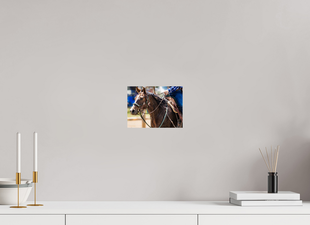 8 x 6″, PHOTO PAPER Pack Horse Portrait 13 Web Exclusive