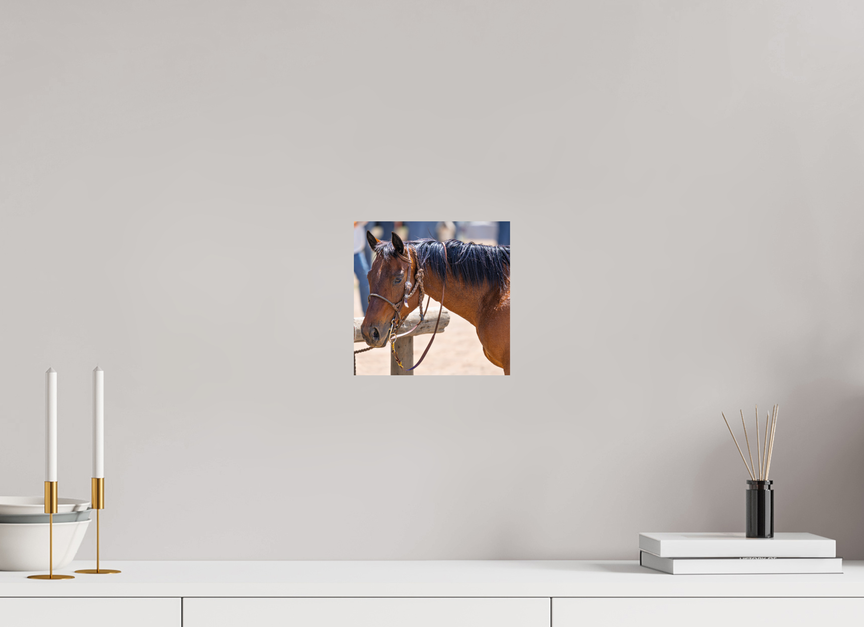 8.1 x 8″, PHOTO PAPER Pack Horse Portrait 15 Web Exclusive
