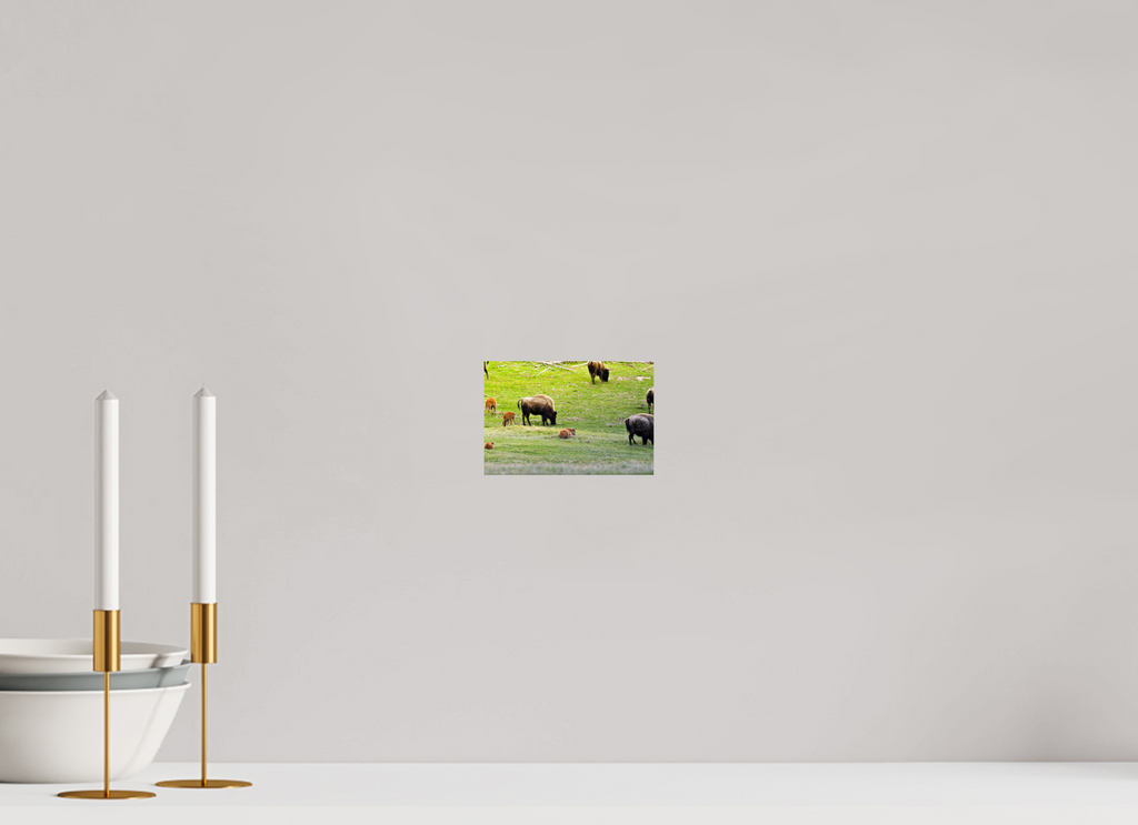 6 x 4″, PHOTO PAPER Bison Herd