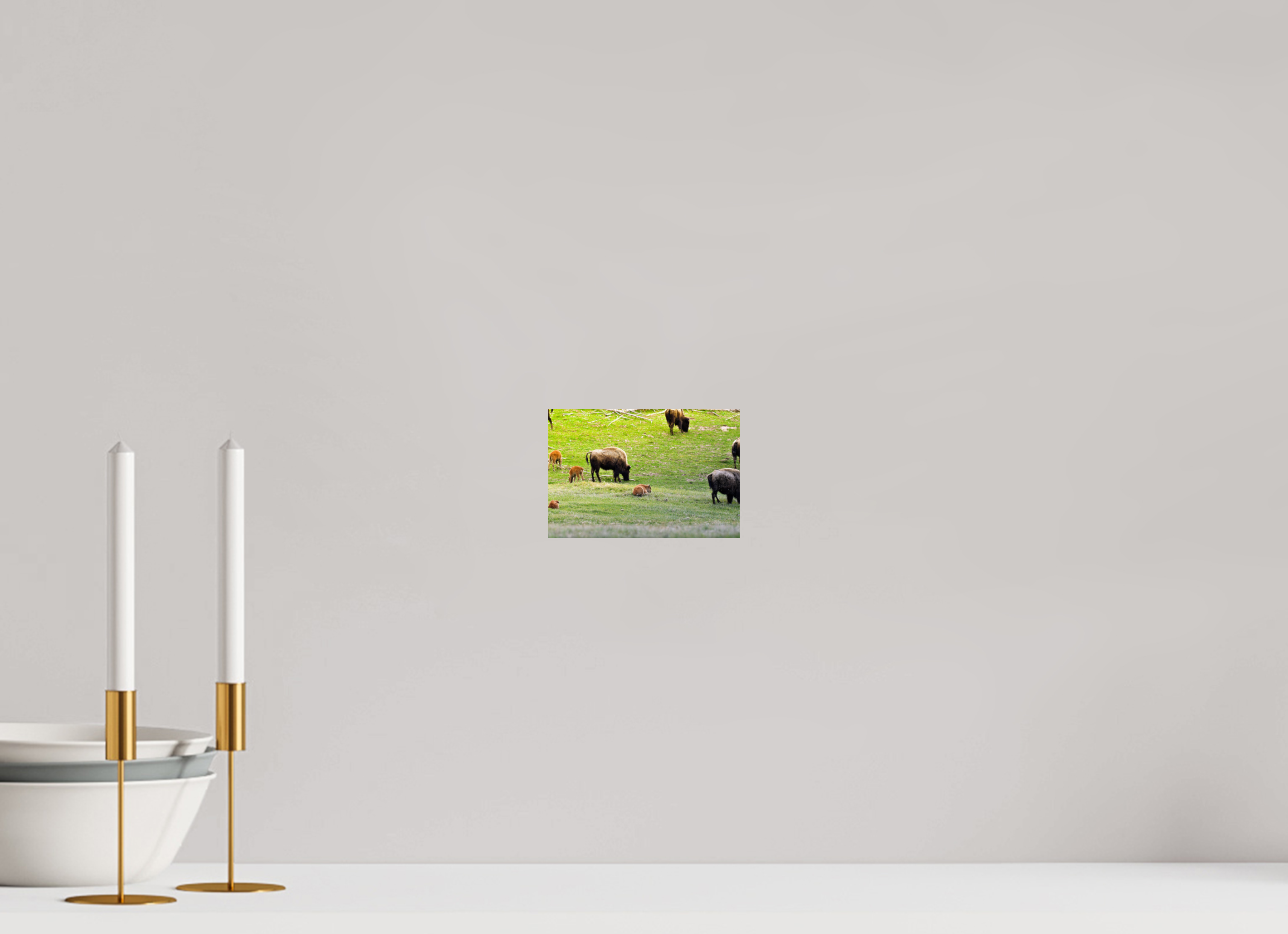 6 x 4″, PHOTO PAPER Bison Herd