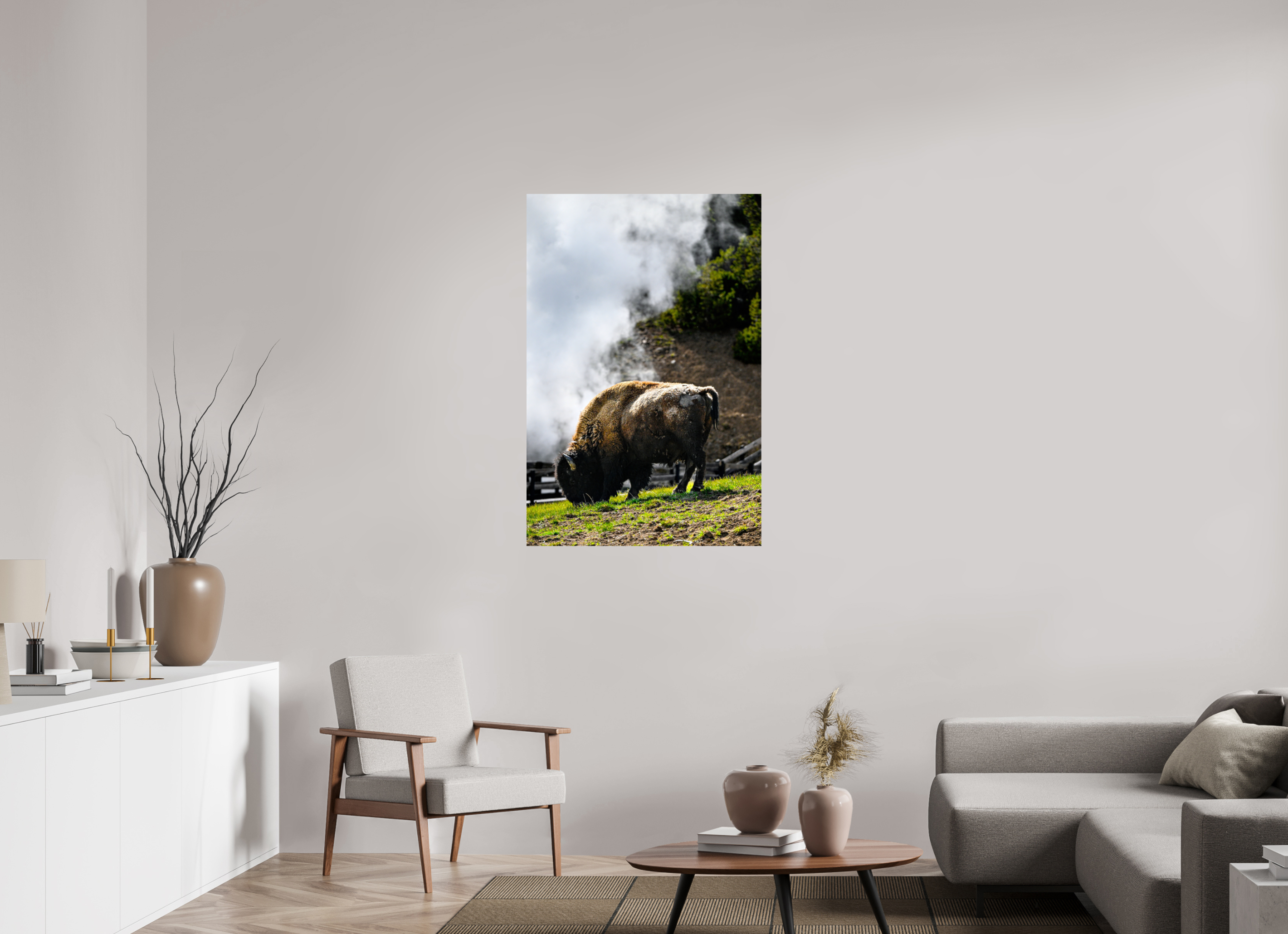 30 x 45″, PHOTO PAPER Bison Grazing