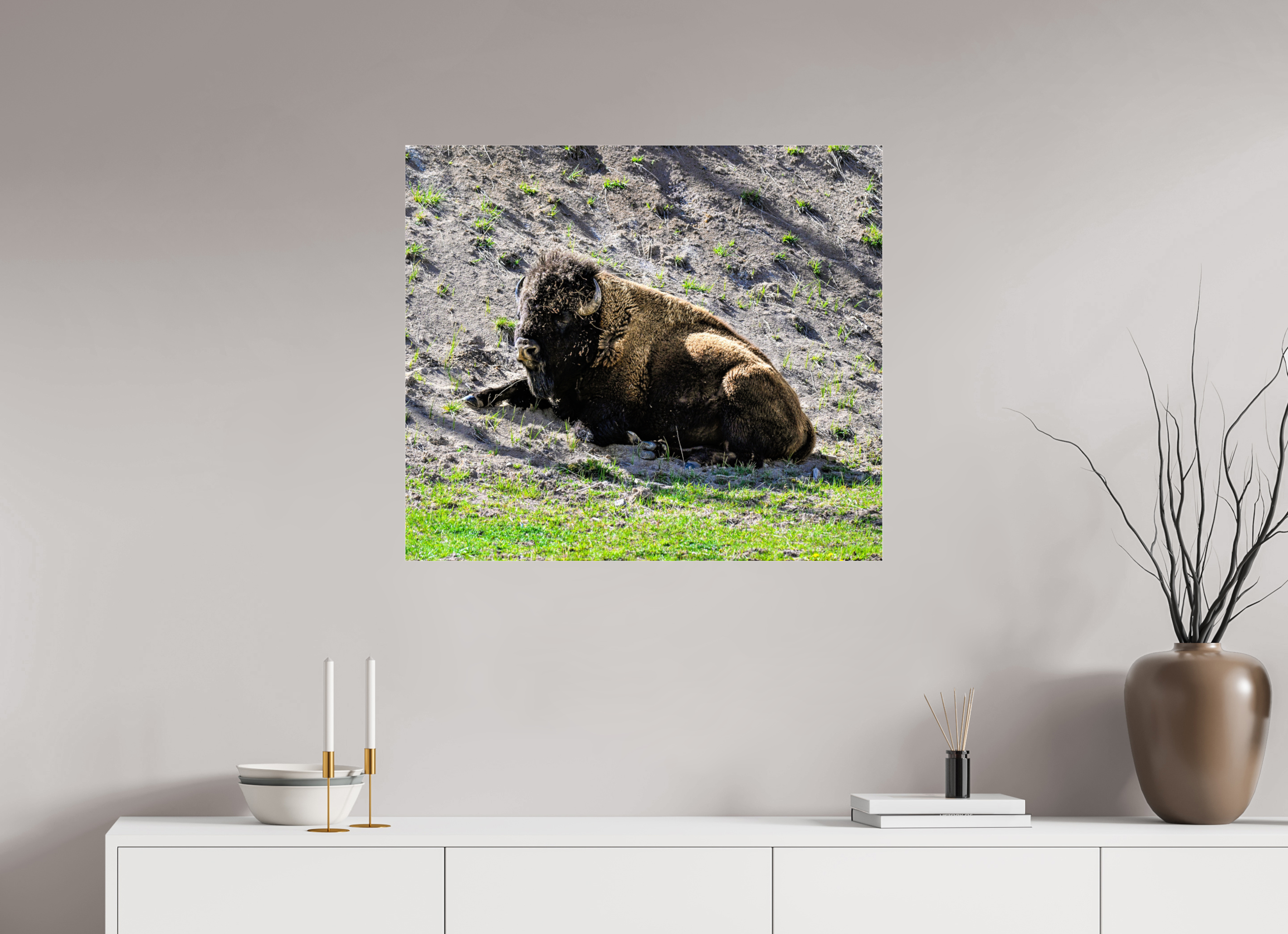 32.1 x 28″, ACRYLIC Bison Laying Down