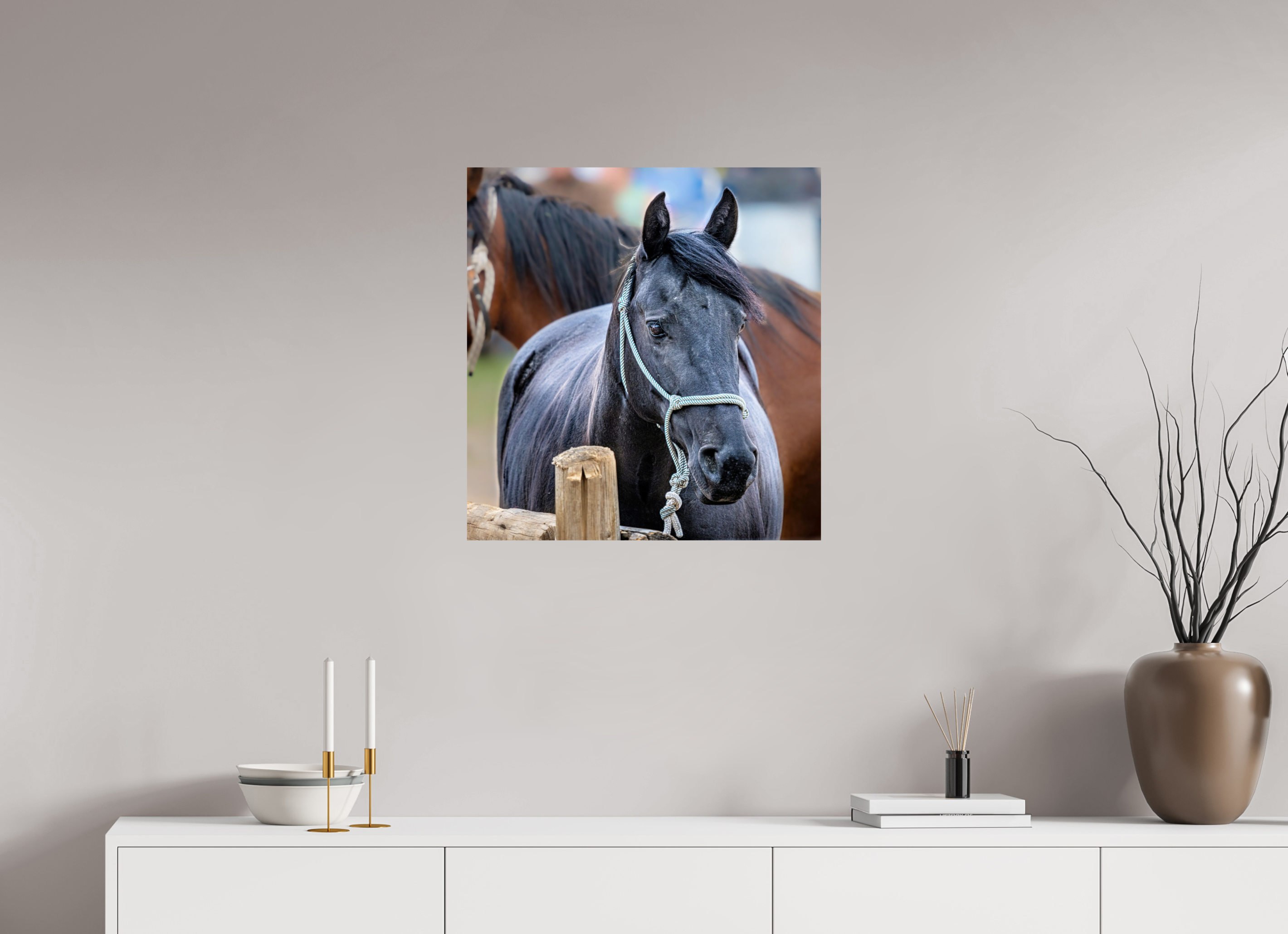 24 x 25.3″, PHOTO PAPER Pack Horse Portrait 8 Web Exclusive