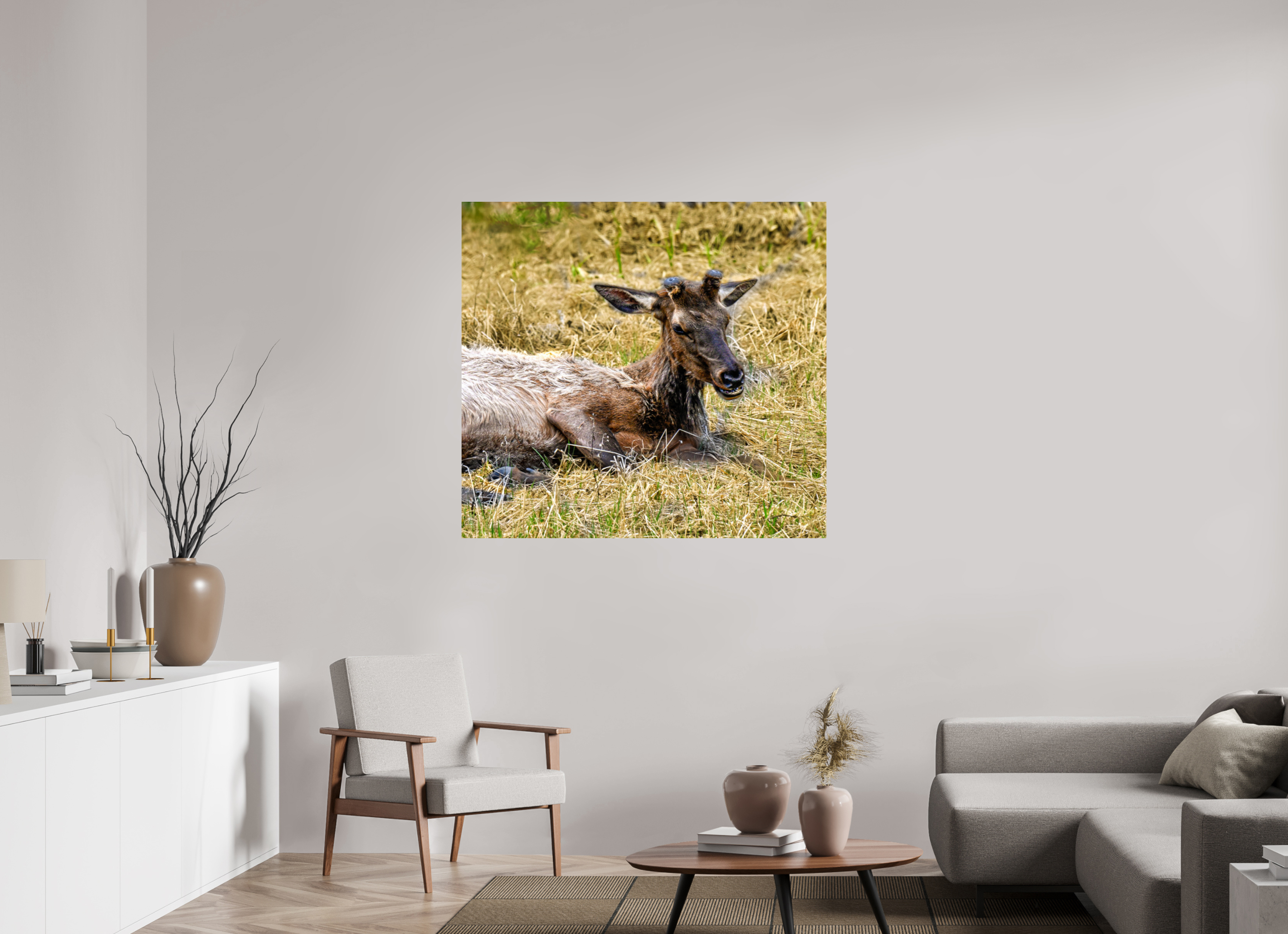 46.6 x 43″, PHOTO PAPER Elk