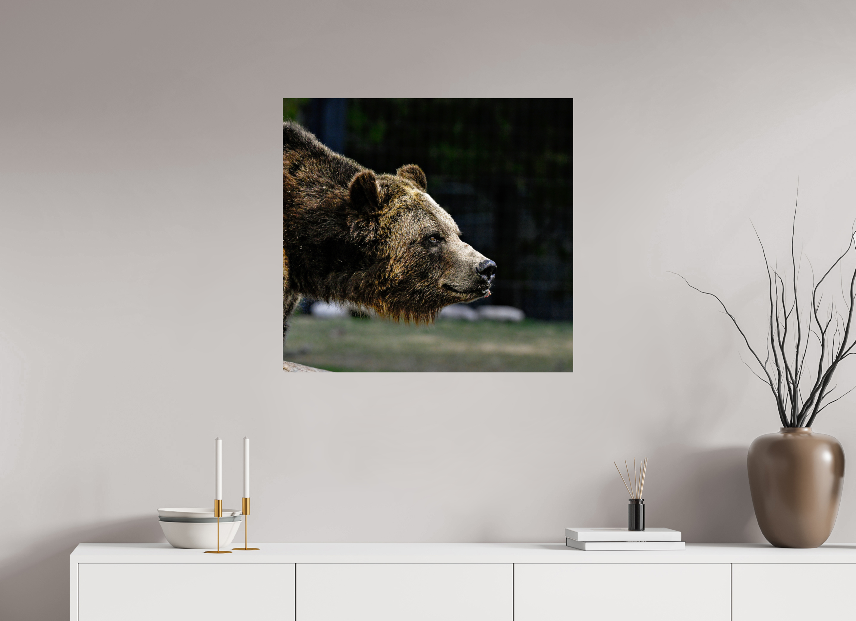 29.6 x 28″, PHOTO PAPER Bear Close Up