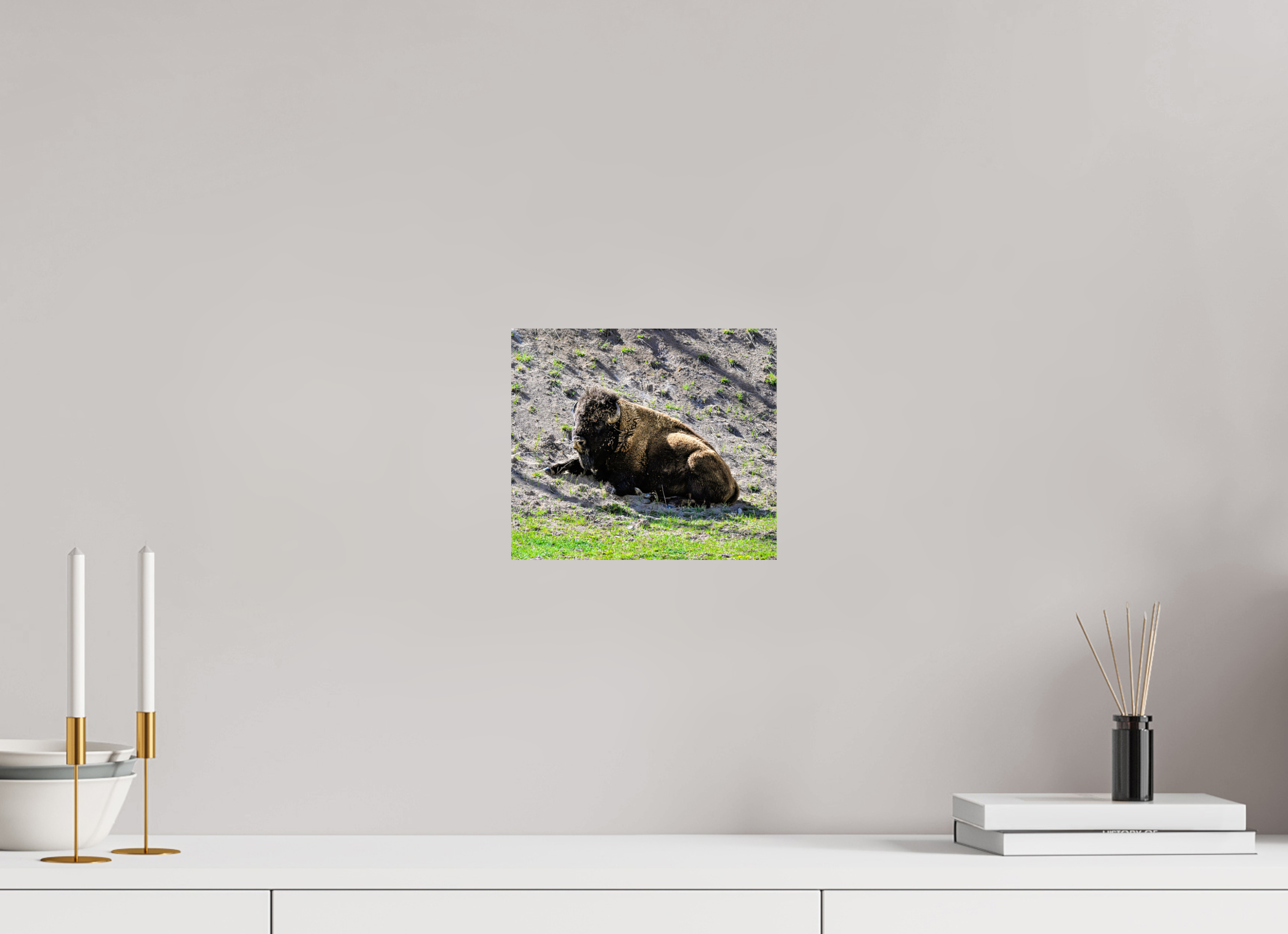 9.2 x 8″, METAL Bison Laying Down