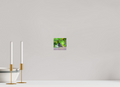 4.3 x 4″, PHOTO PAPER Bird