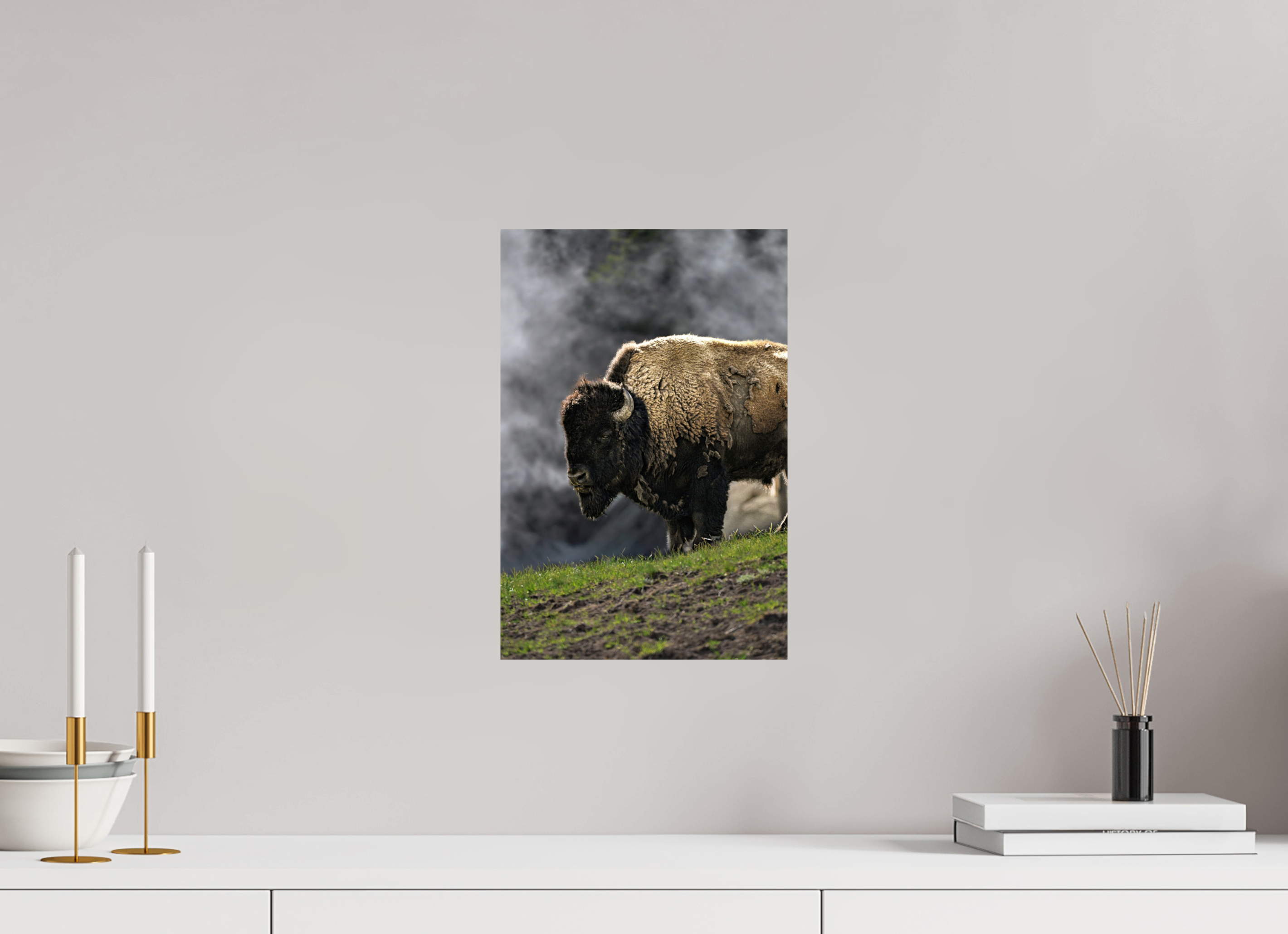 10 x 15″, PHOTO PAPER Bison