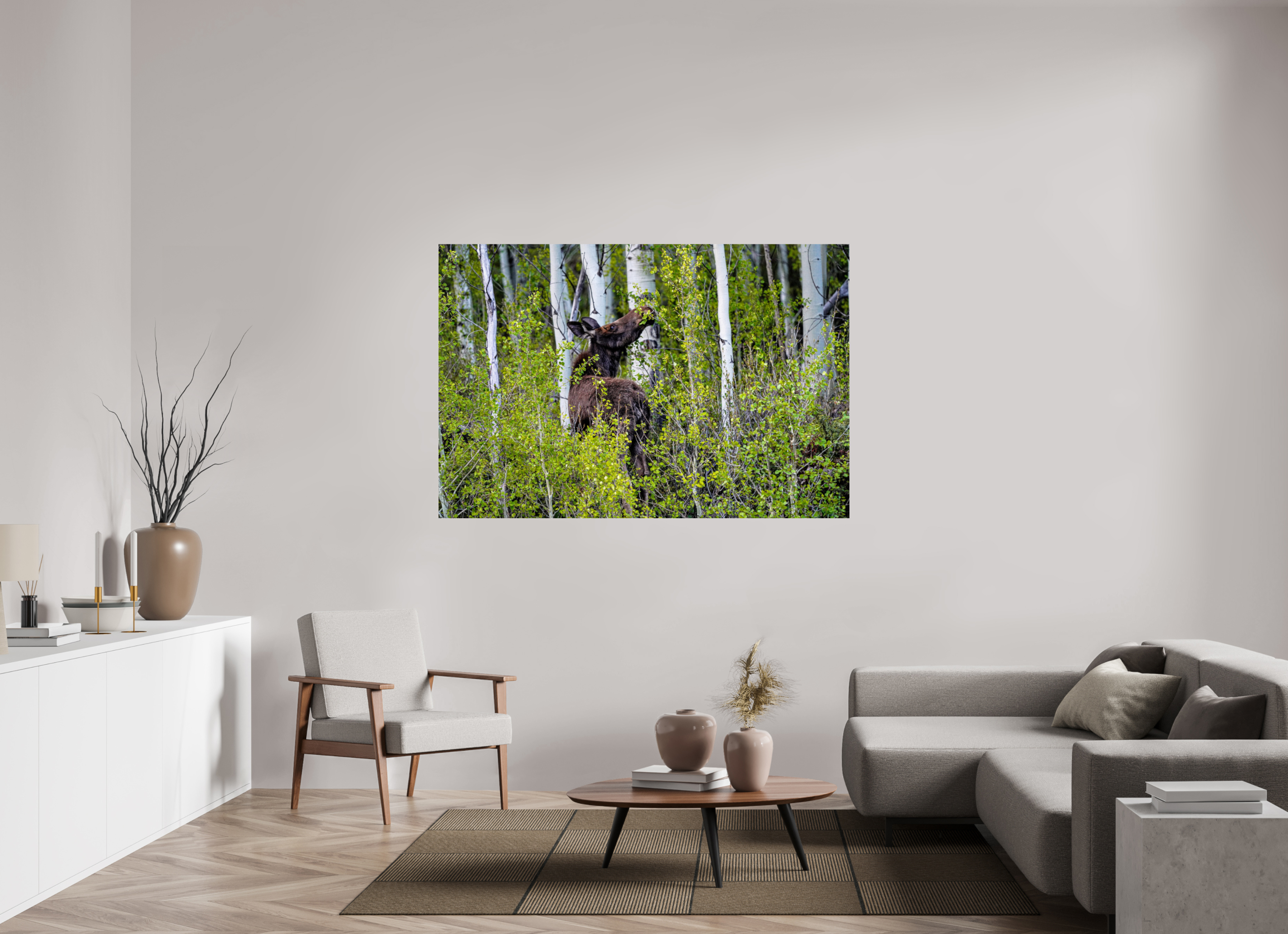 66 x 44″, METAL Cow Moose Snacking on Aspens