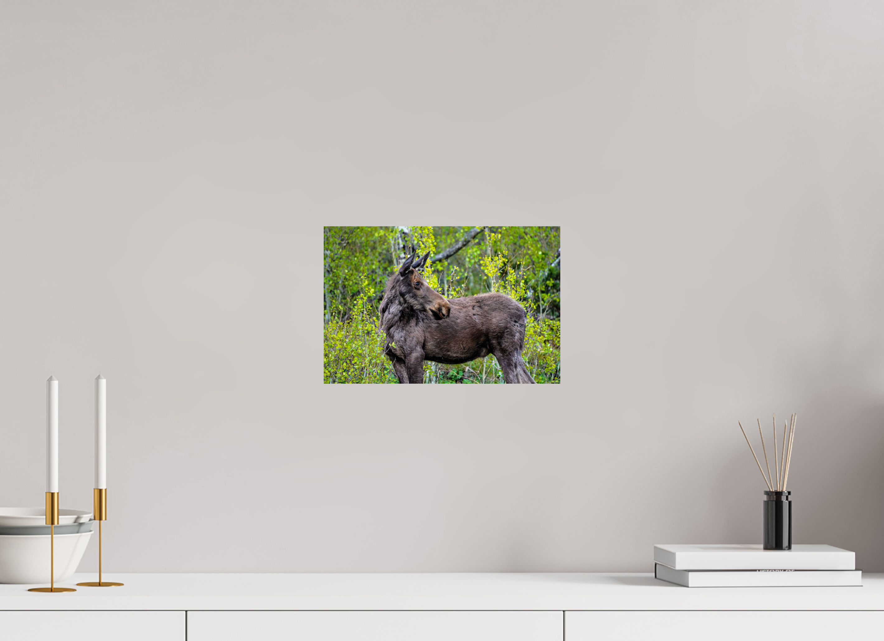 12 x 8″, PHOTO PAPER Moose Portrait