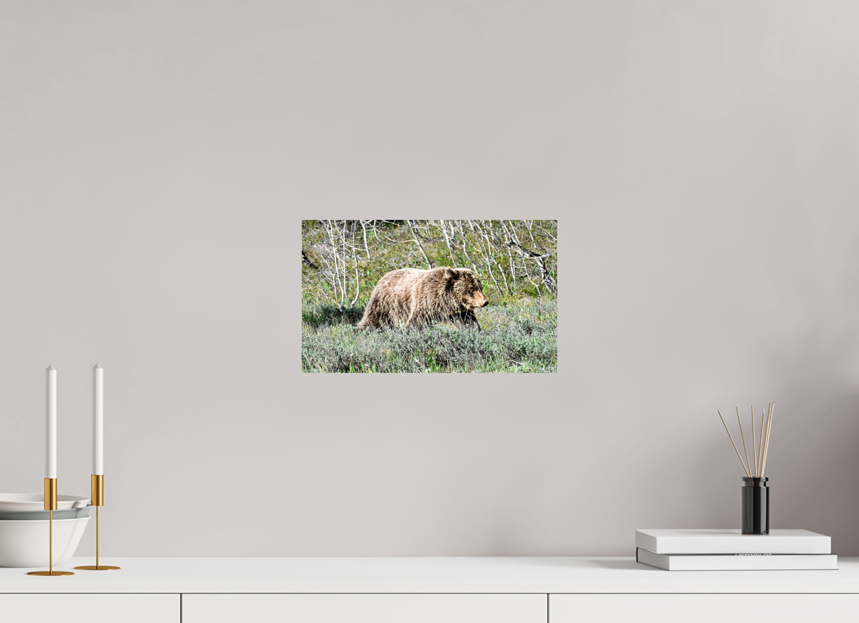 13.3 x 8″, PHOTO PAPER Bear
