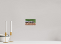 6.7 x 4″, PHOTO PAPER Lizard