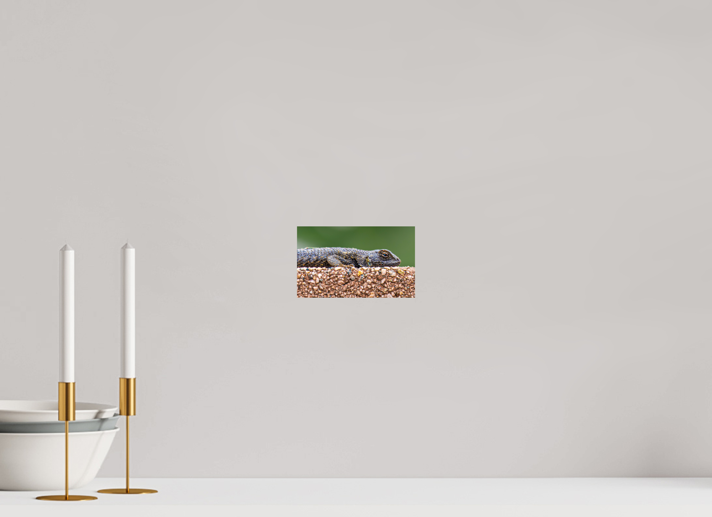 6.7 x 4″, PHOTO PAPER Lizard