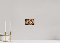 6 x 4″, PHOTO PAPER Pack Horse Trio