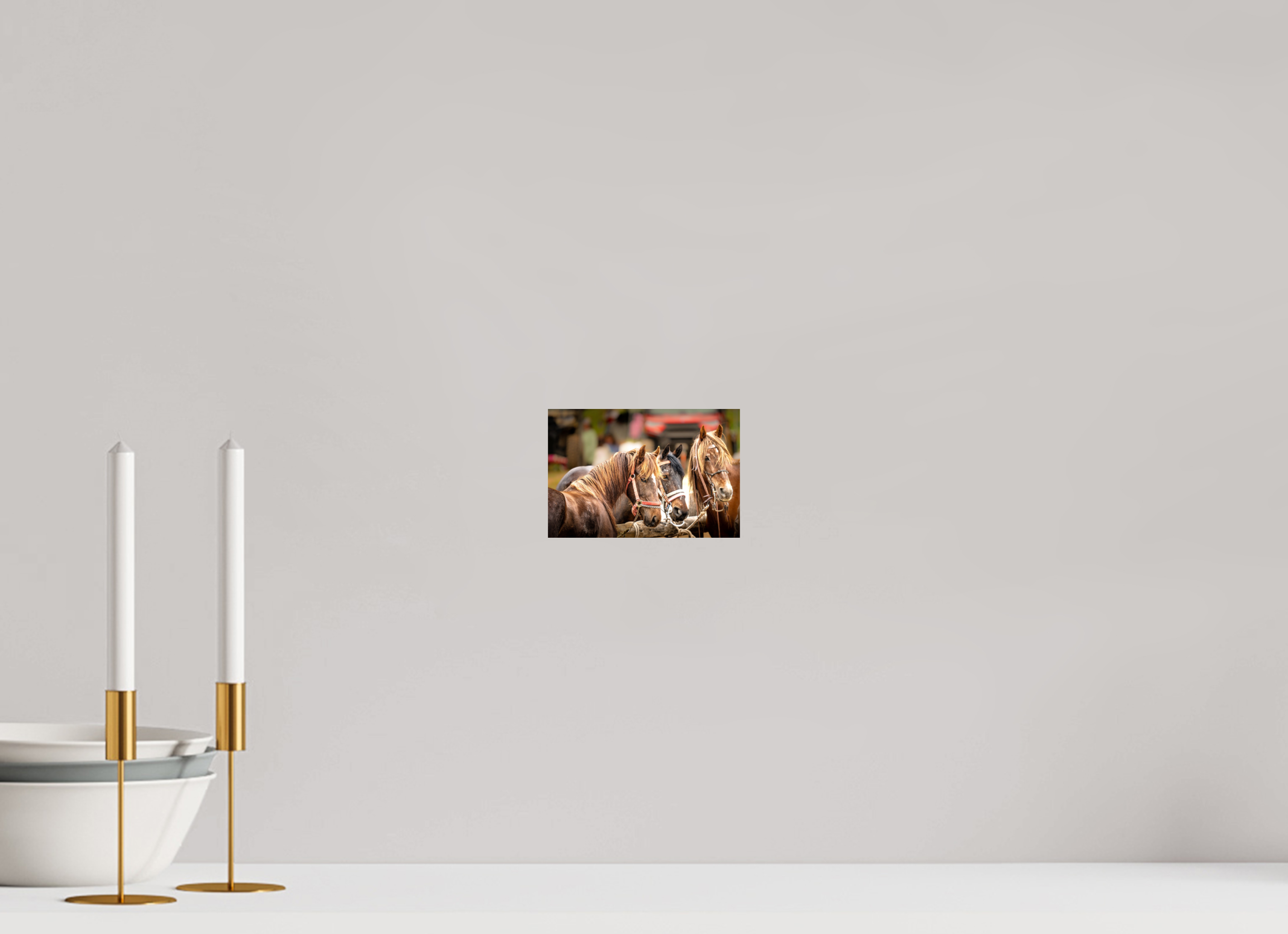 6 x 4″, PHOTO PAPER Pack Horse Trio