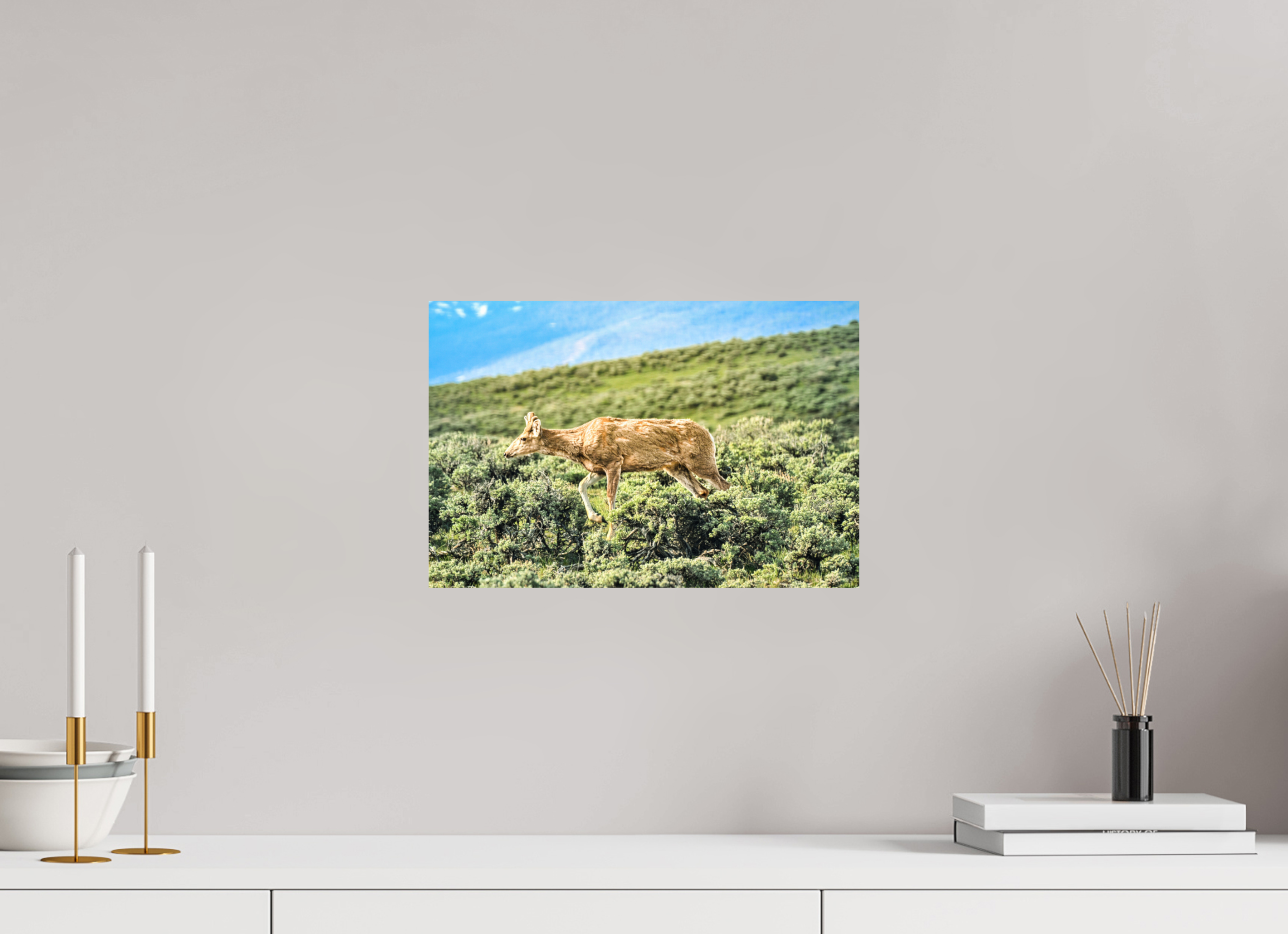 15 x 10″, PHOTO PAPER Deer