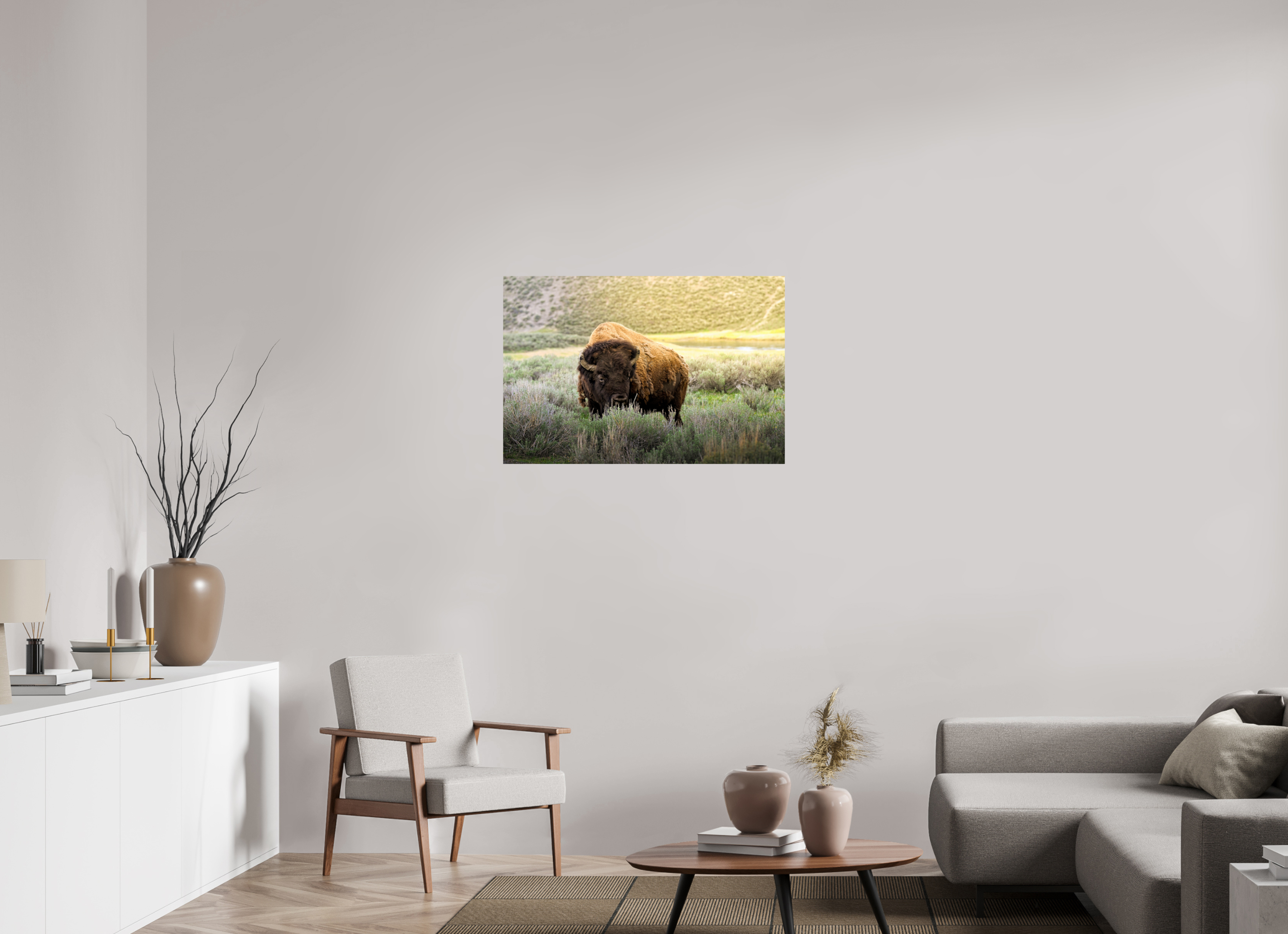 36 x 24″, PHOTO PAPER Bison in the Sunlight