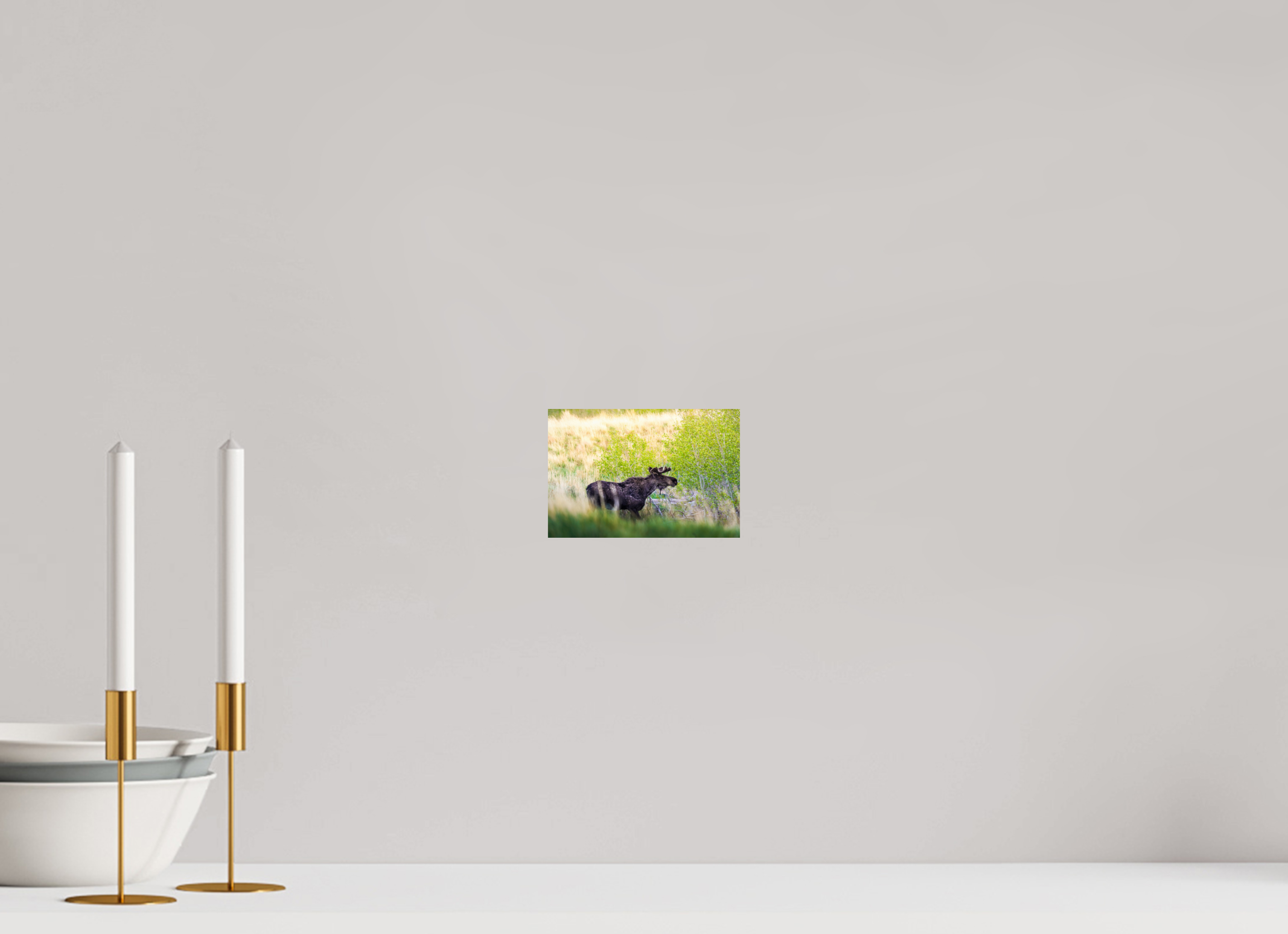 6 x 4″, PHOTO PAPER “Peek A Boo” Moose
