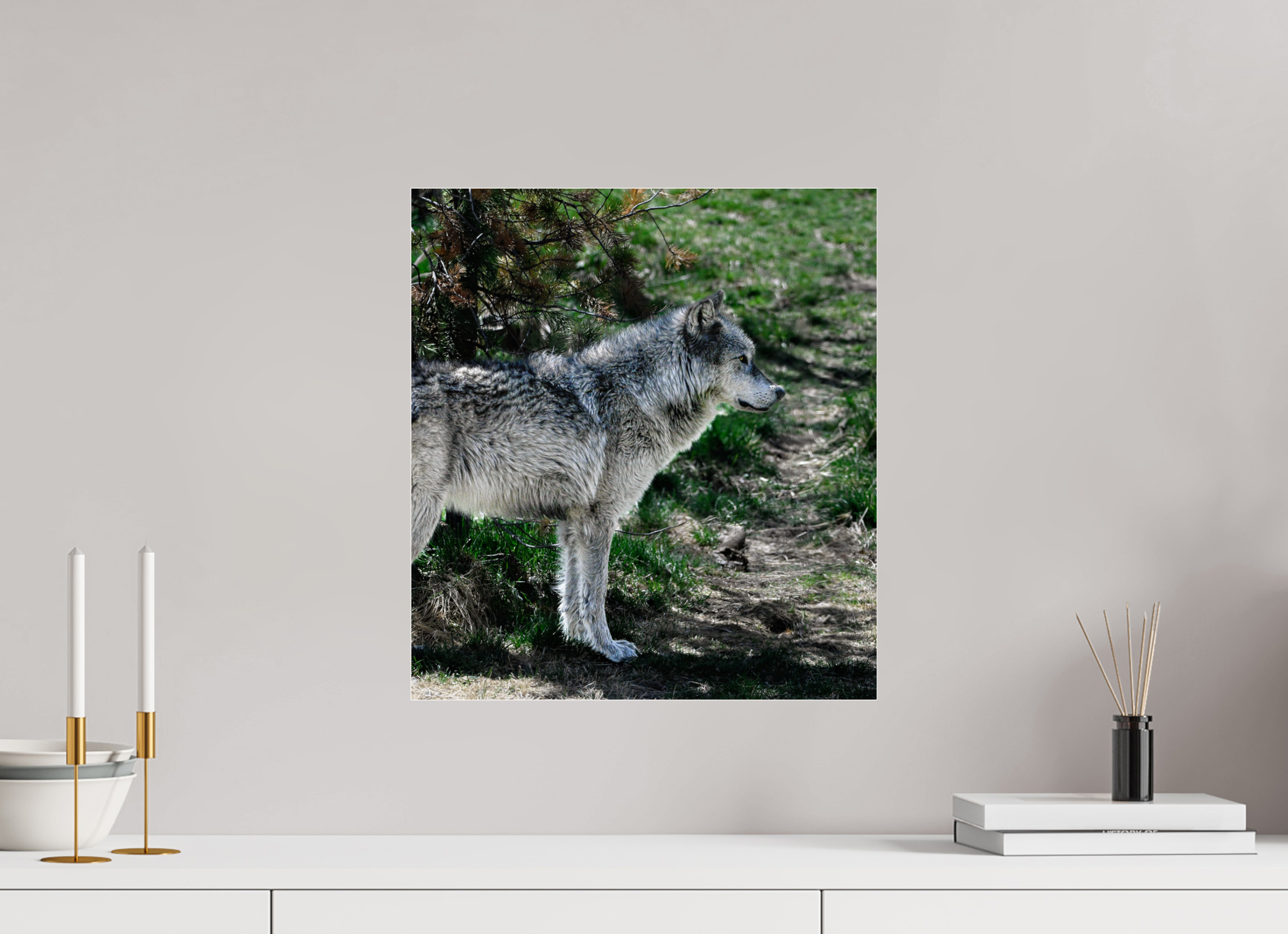 16 x 17.6″, ACRYLIC Wolf Standing
